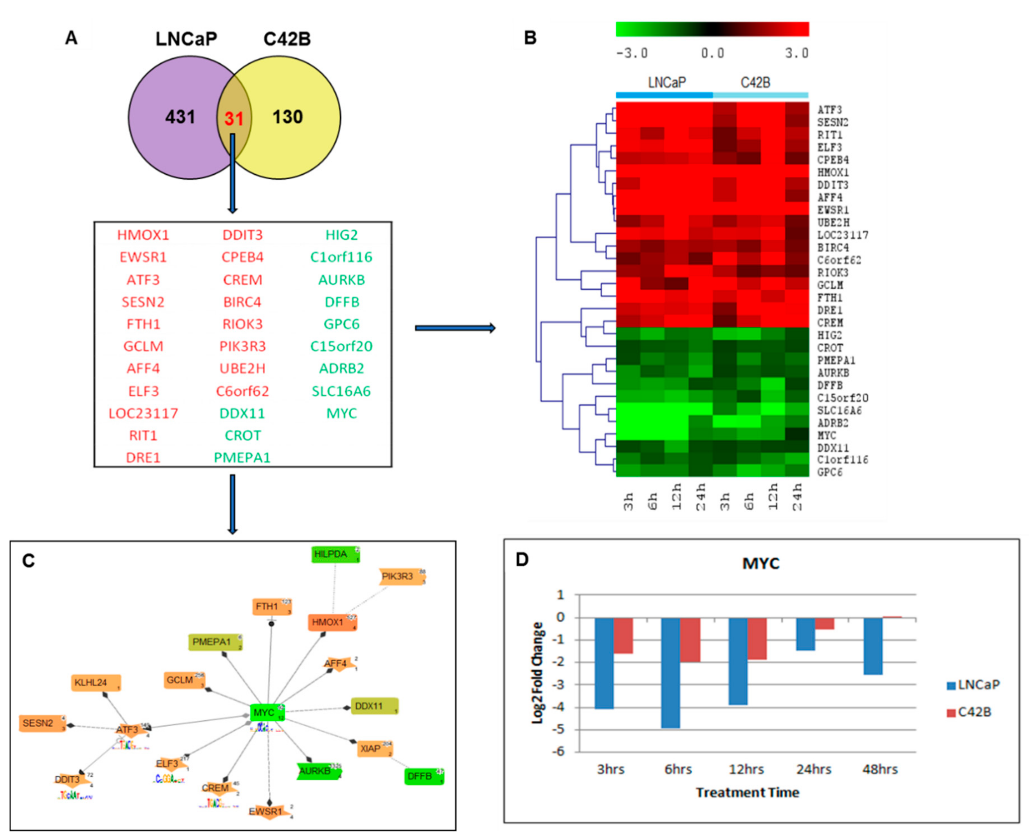 Ijms 20 04891 g001 Ijms 20 04891 g001