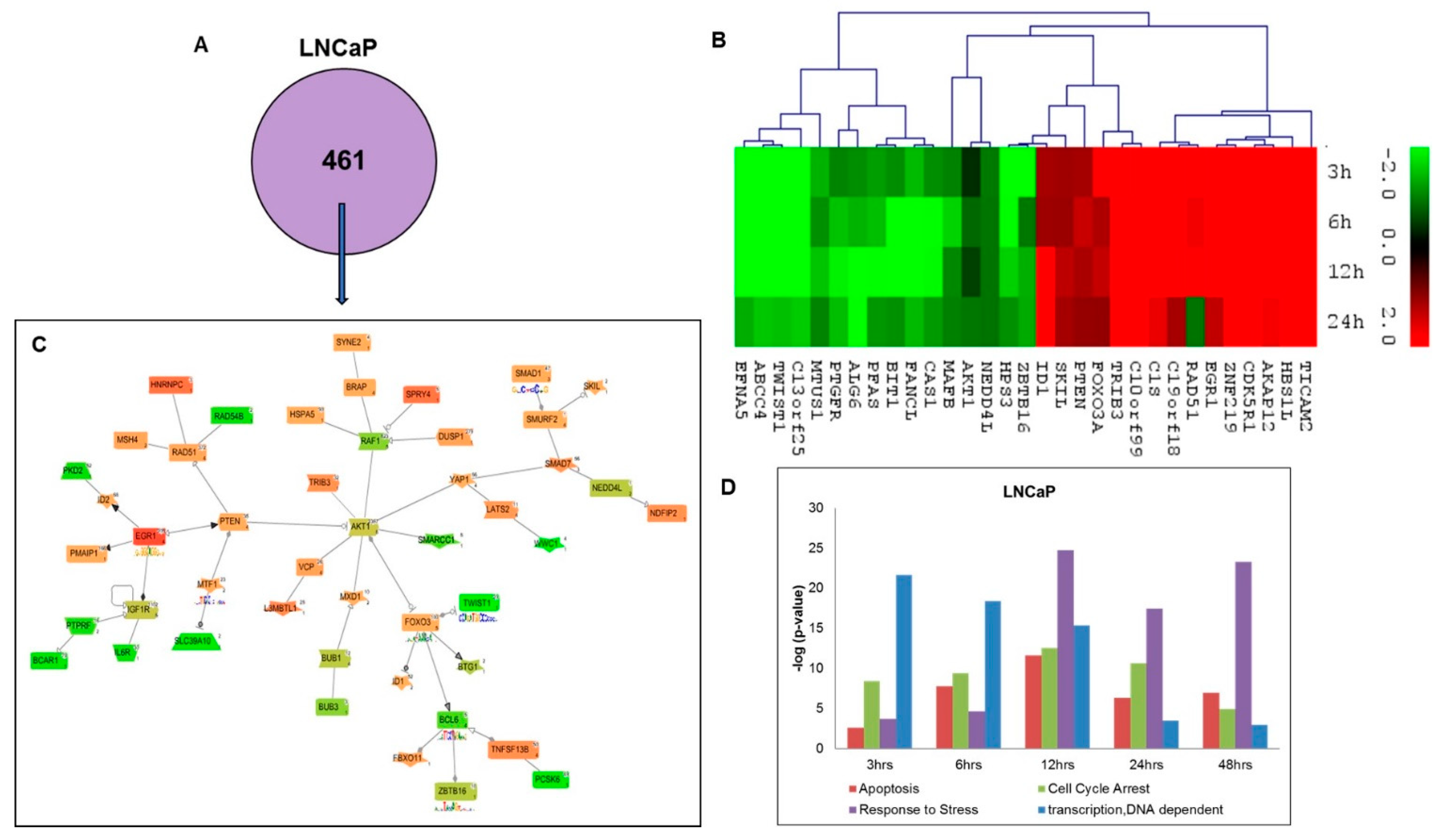 Ijms 20 04891 g002 Ijms 20 04891 g002