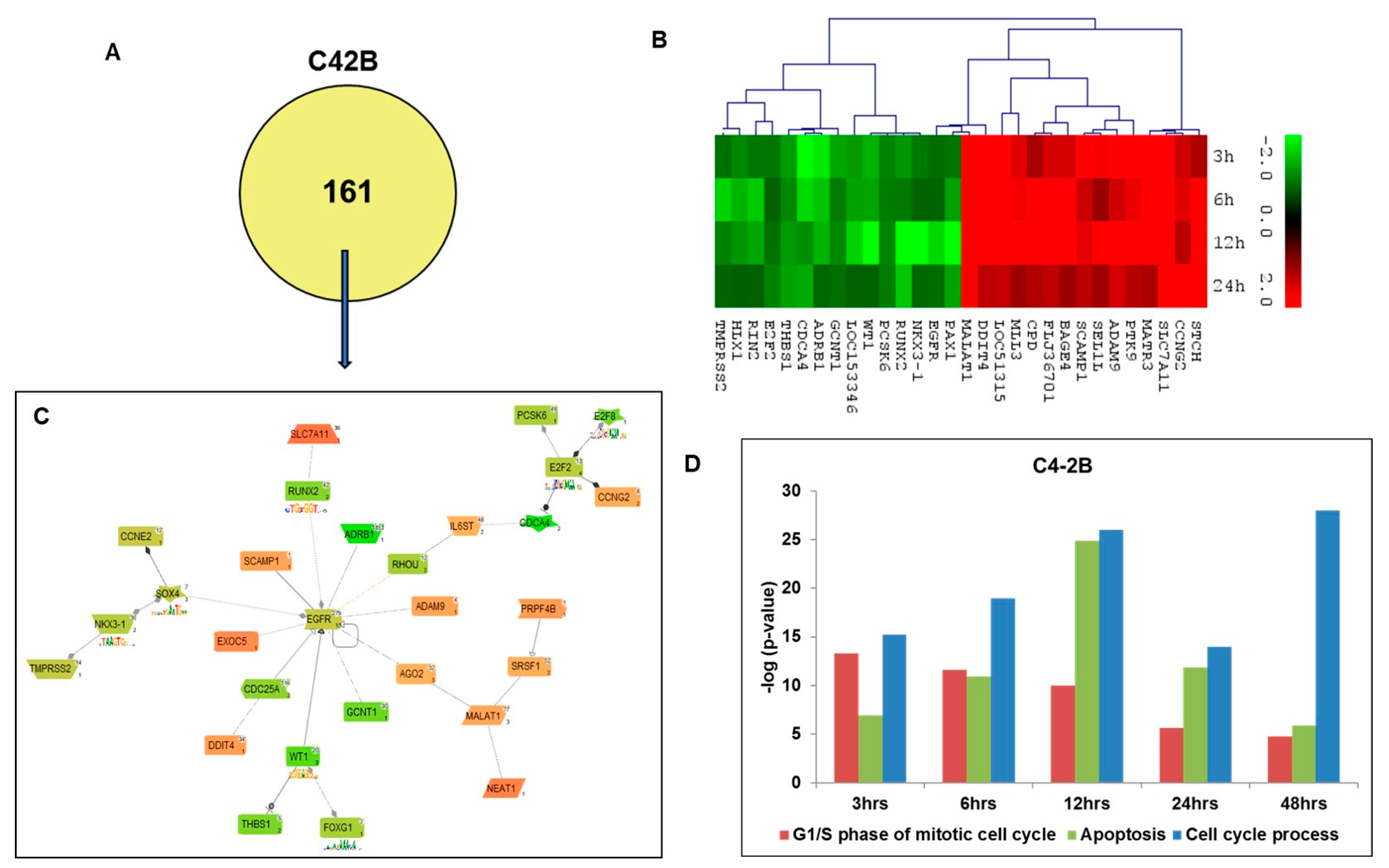 Ijms 20 04891 g003 Ijms 20 04891 g003