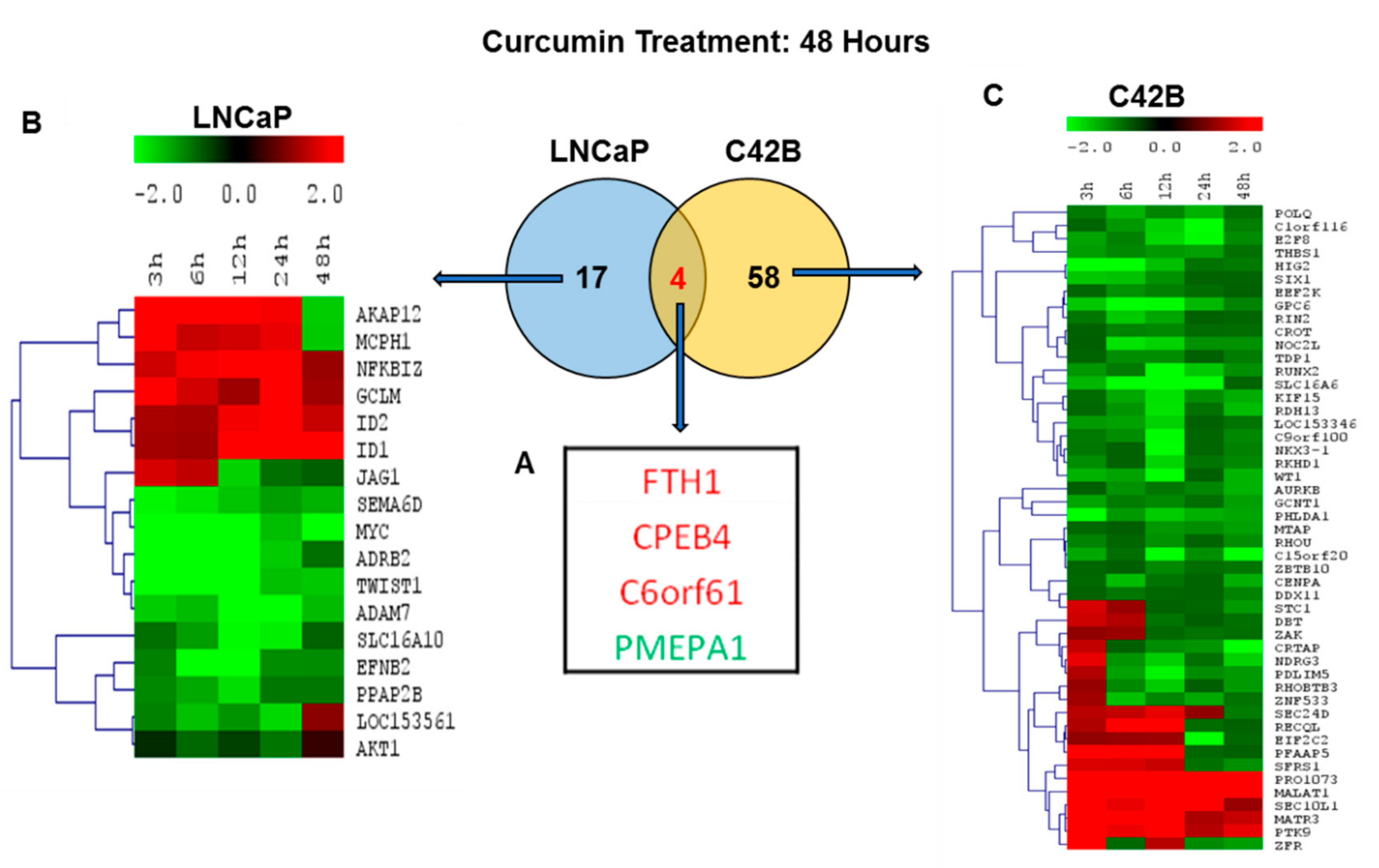 Ijms 20 04891 g005 Ijms 20 04891 g005