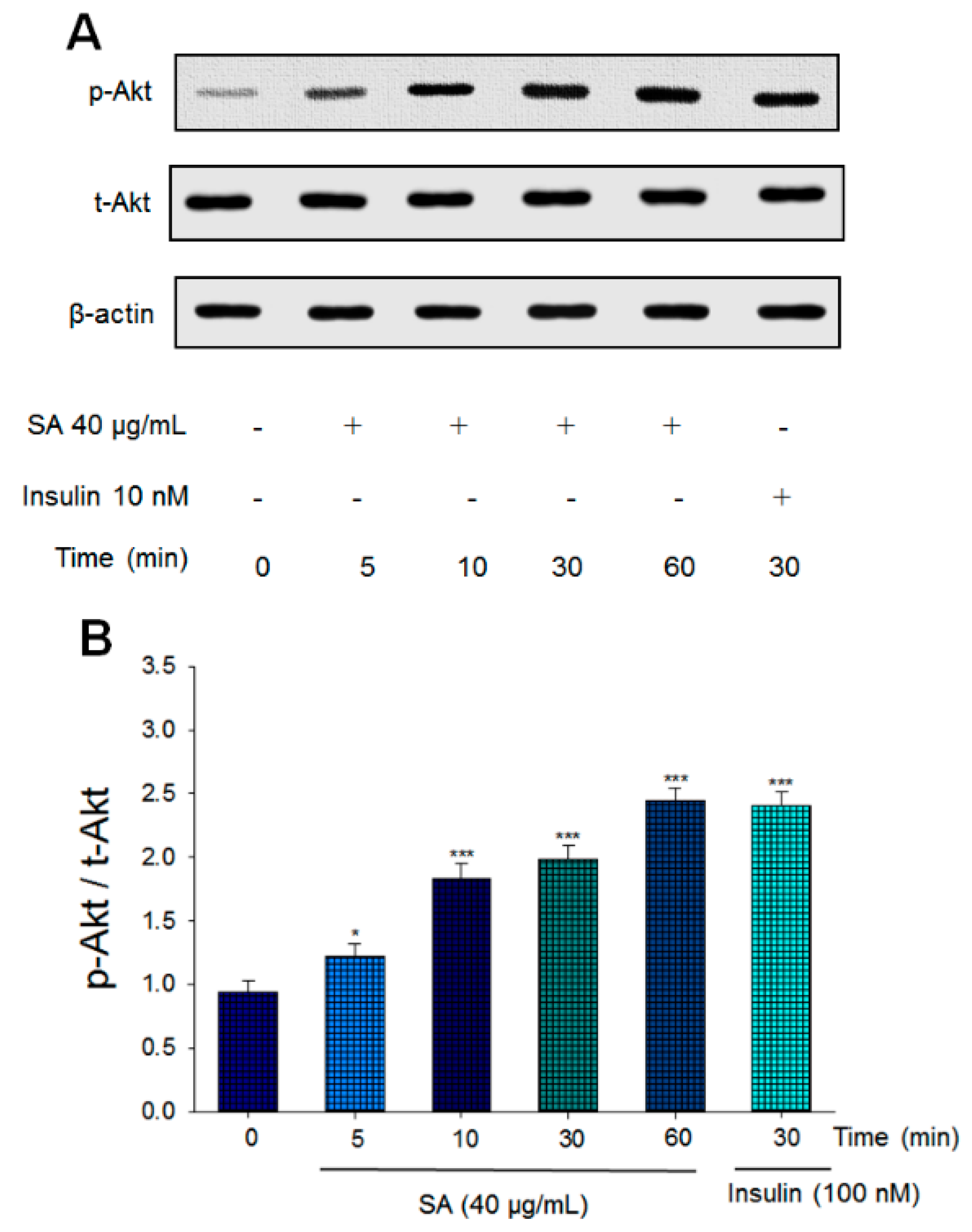 Ijms 20 04897 g002 Ijms 20 04897 g002