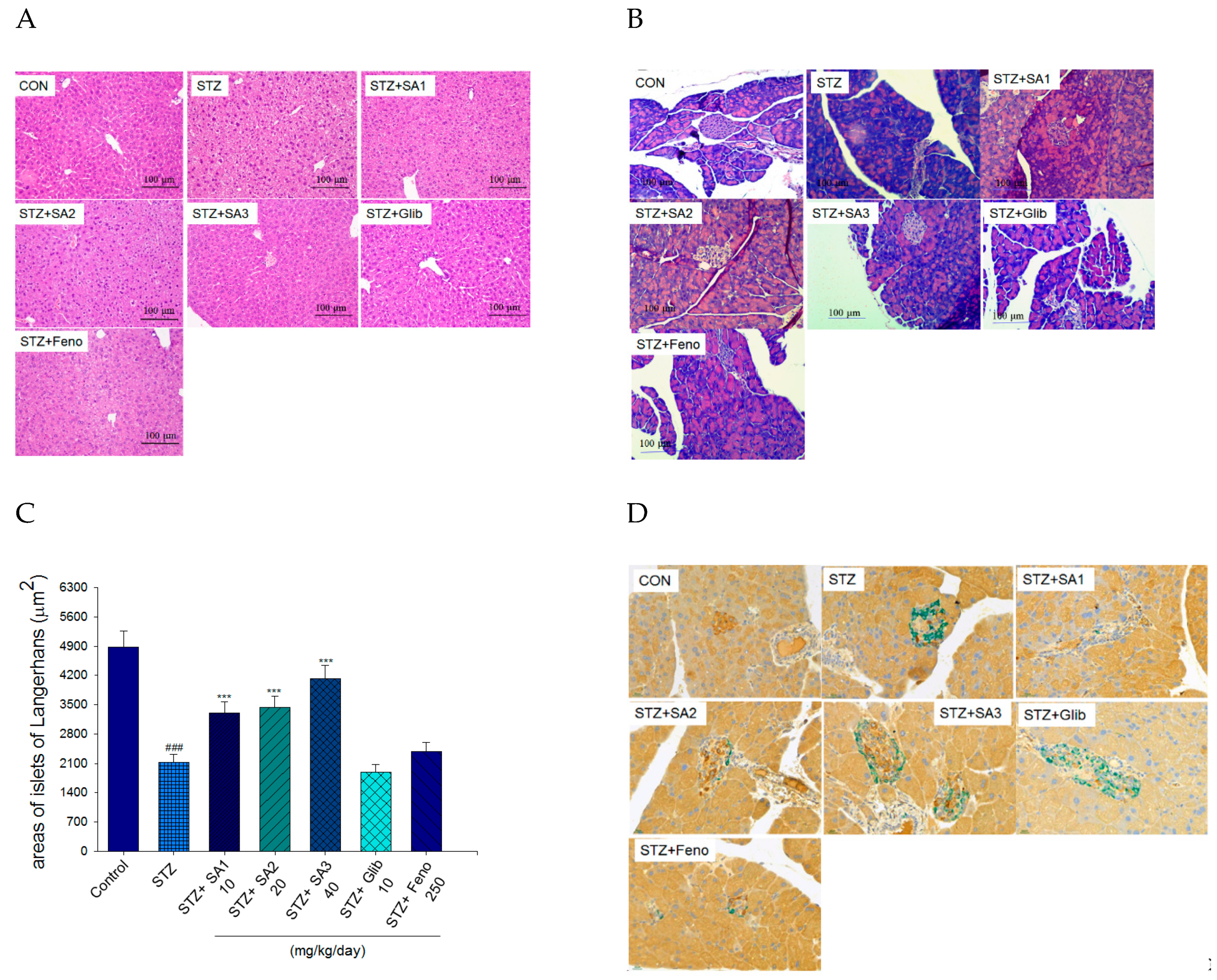 Ijms 20 04897 g004 Ijms 20 04897 g004