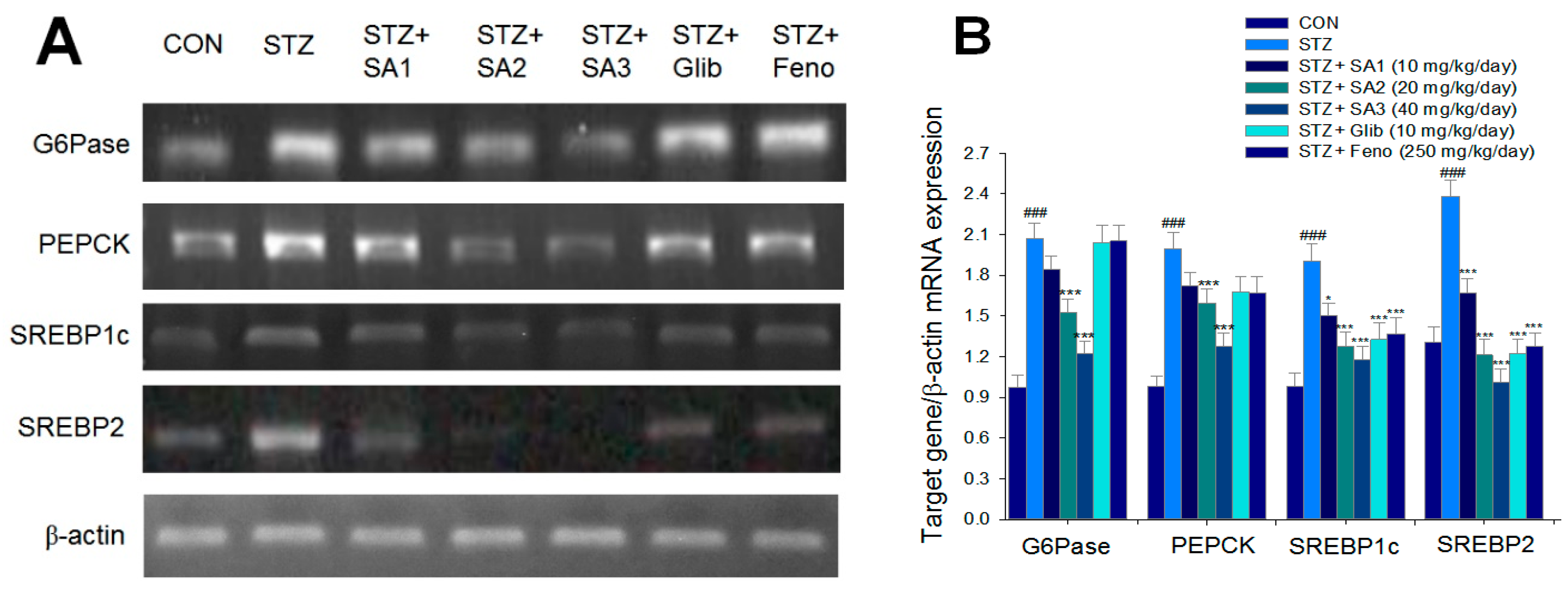 Ijms 20 04897 g005 Ijms 20 04897 g005