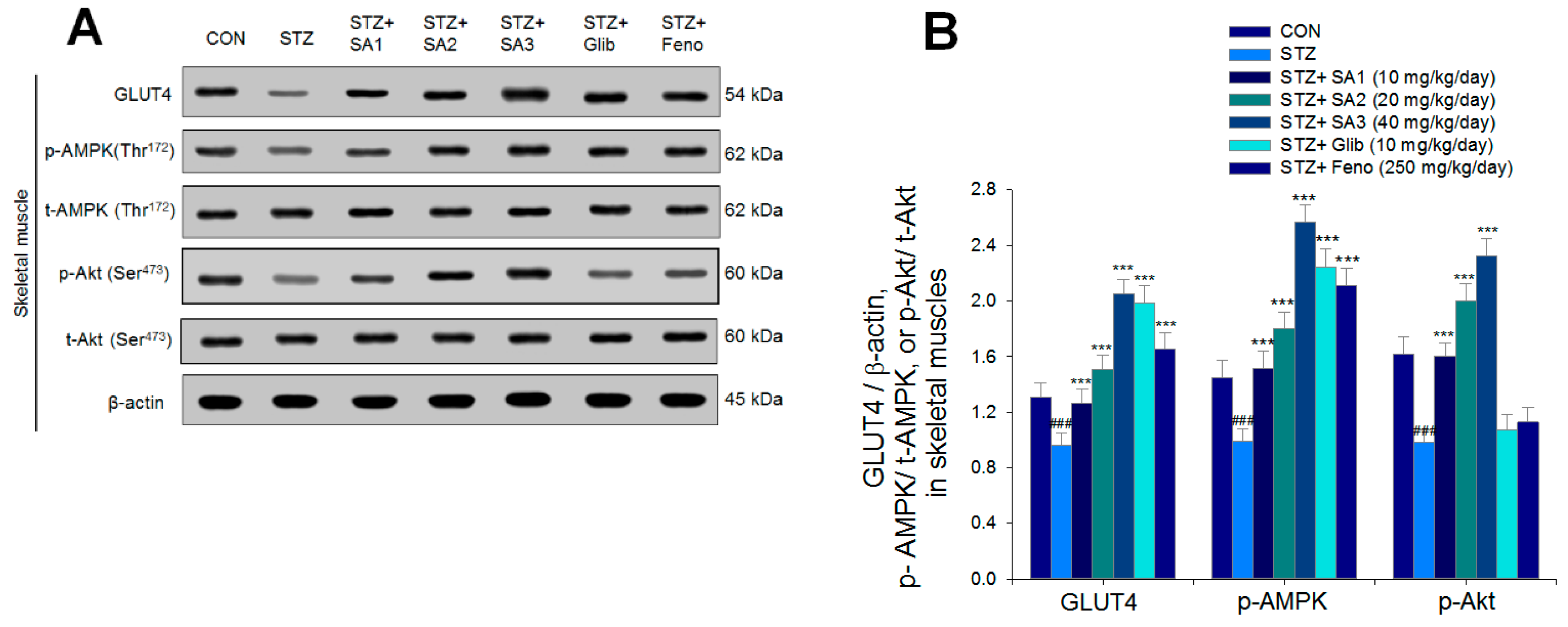 Ijms 20 04897 g006 Ijms 20 04897 g006