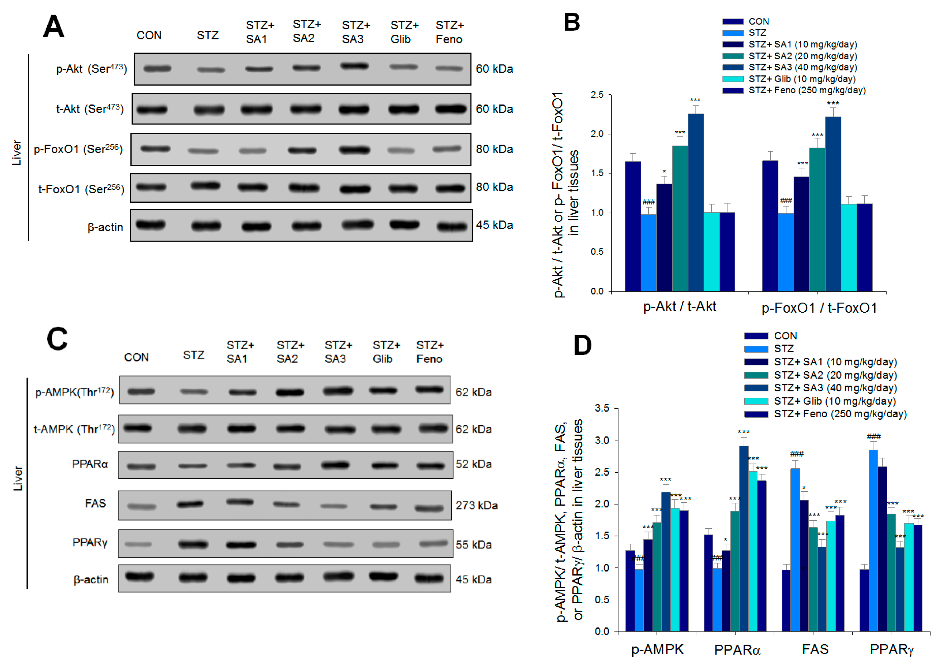 Ijms 20 04897 g007 Ijms 20 04897 g007