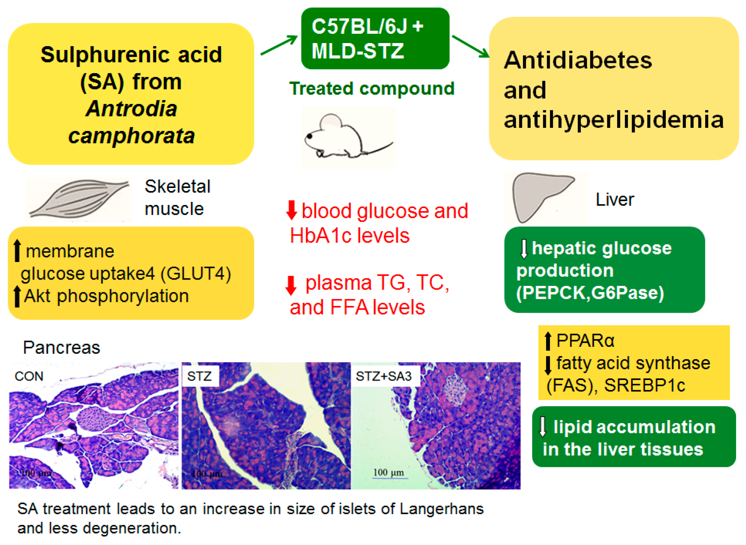 Ijms 20 04897 g008 Ijms 20 04897 g008