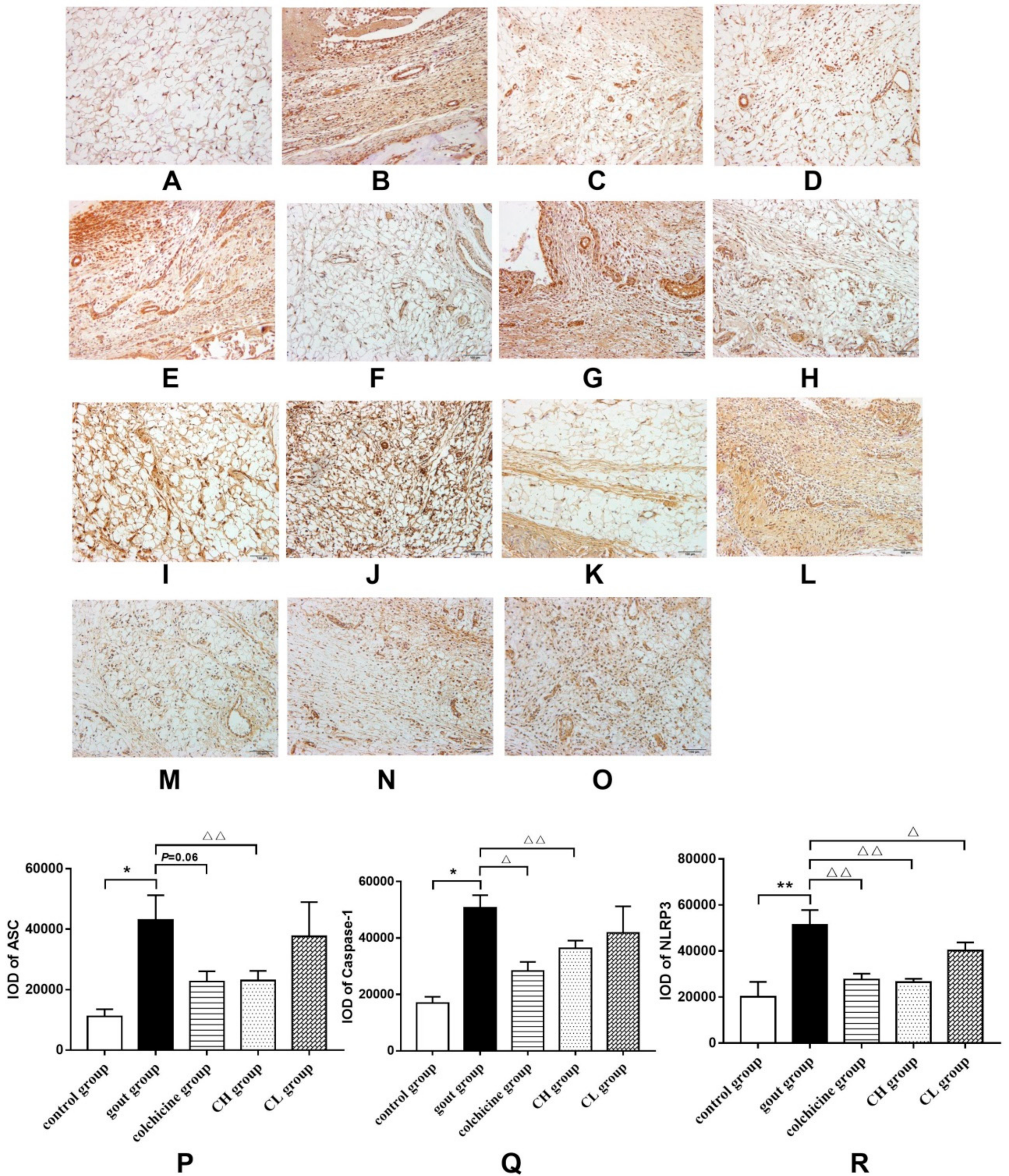 Ijms 20 04921 g004 Ijms 20 04921 g004