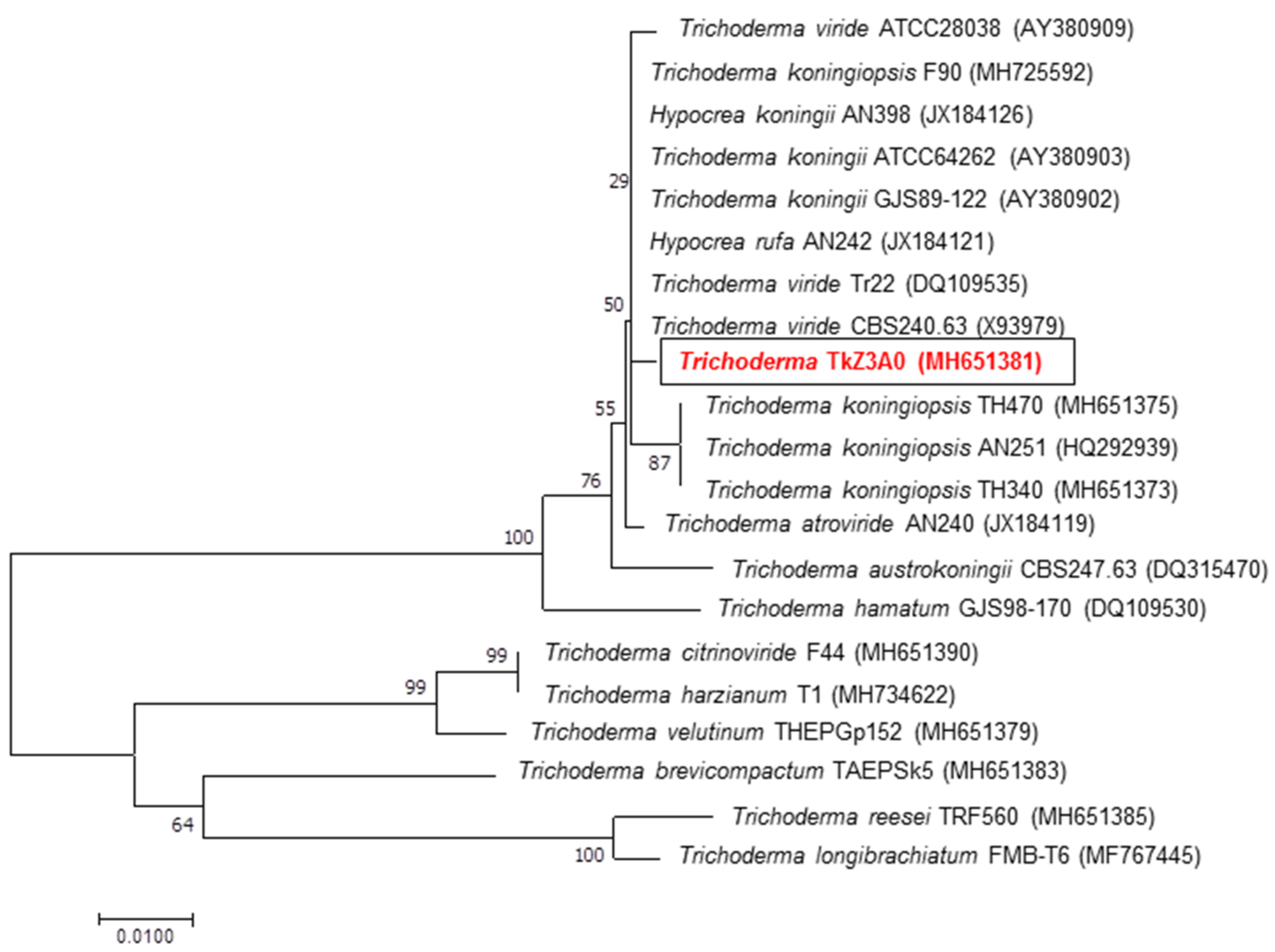 Ijms 20 04923 g001