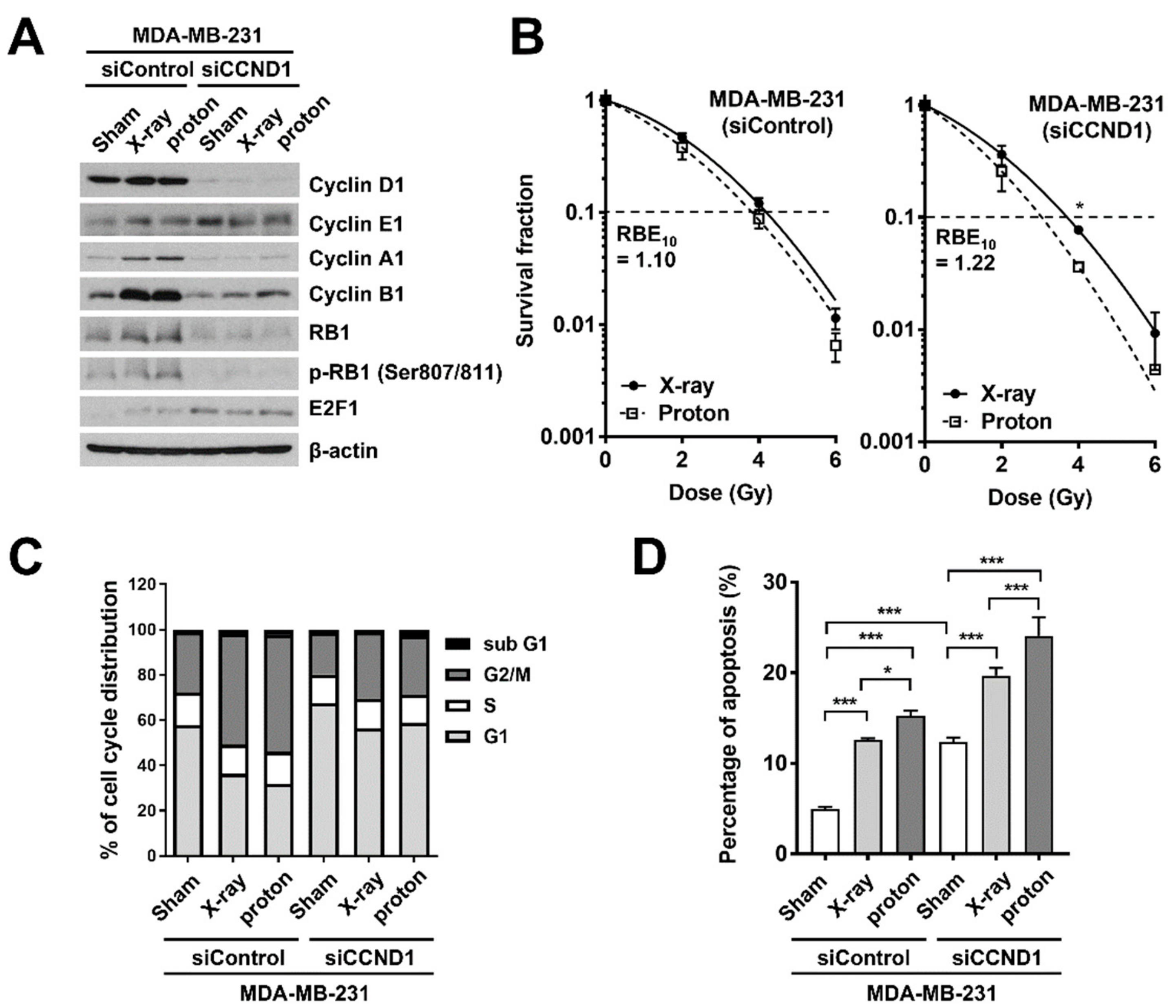 Ijms 20 04943 g004