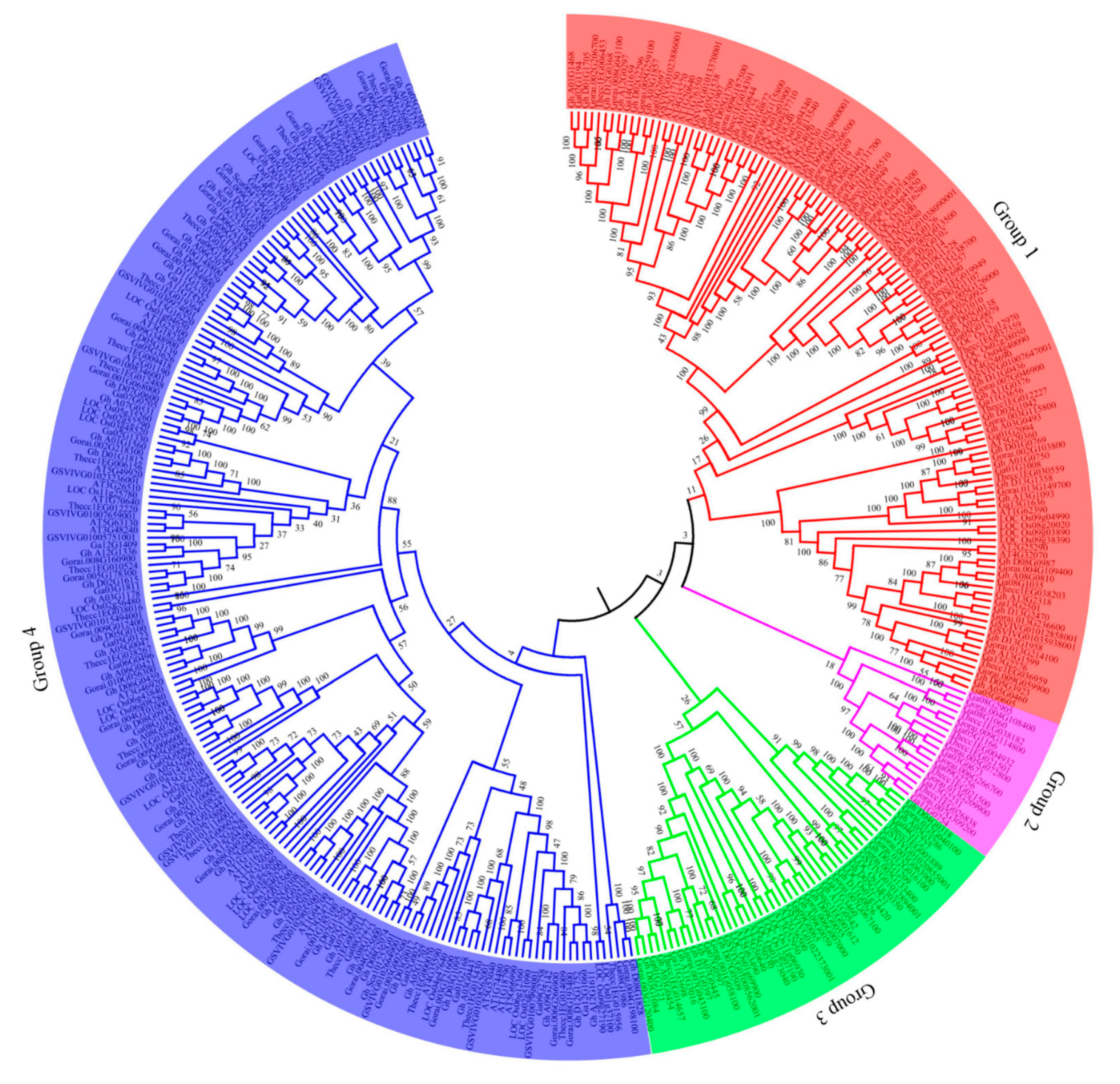 Ijms 20 04953 g001 Ijms 20 04953 g001