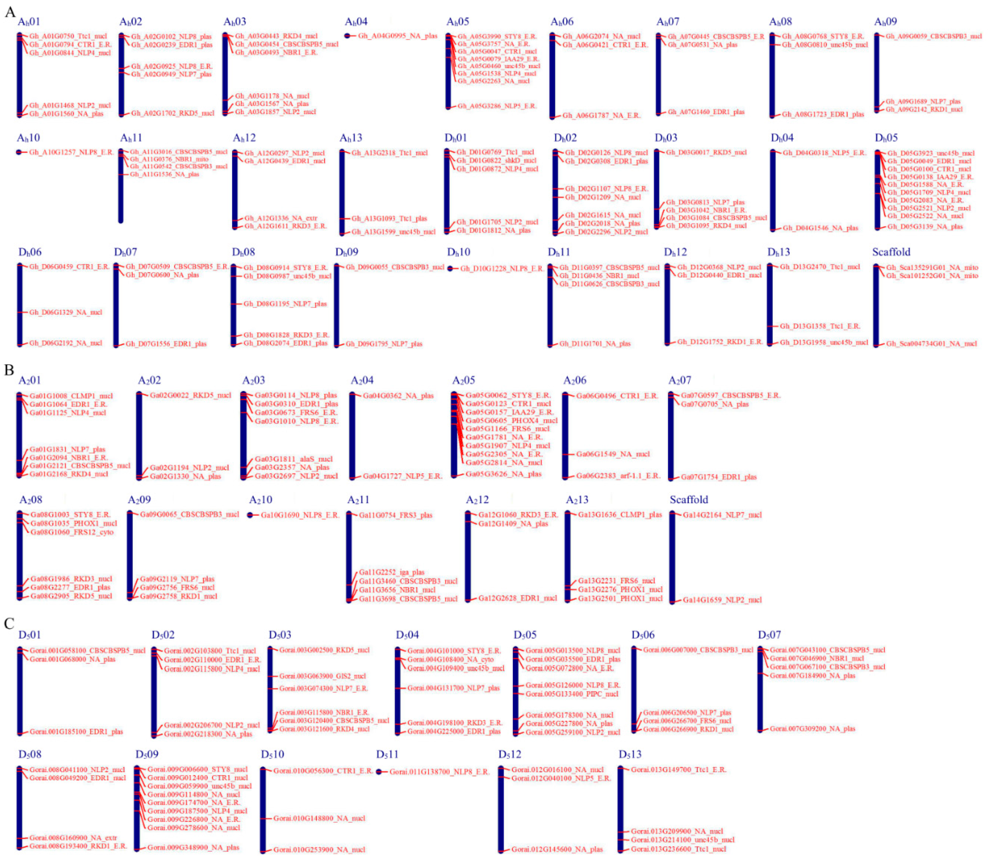 Ijms 20 04953 g002 Ijms 20 04953 g002