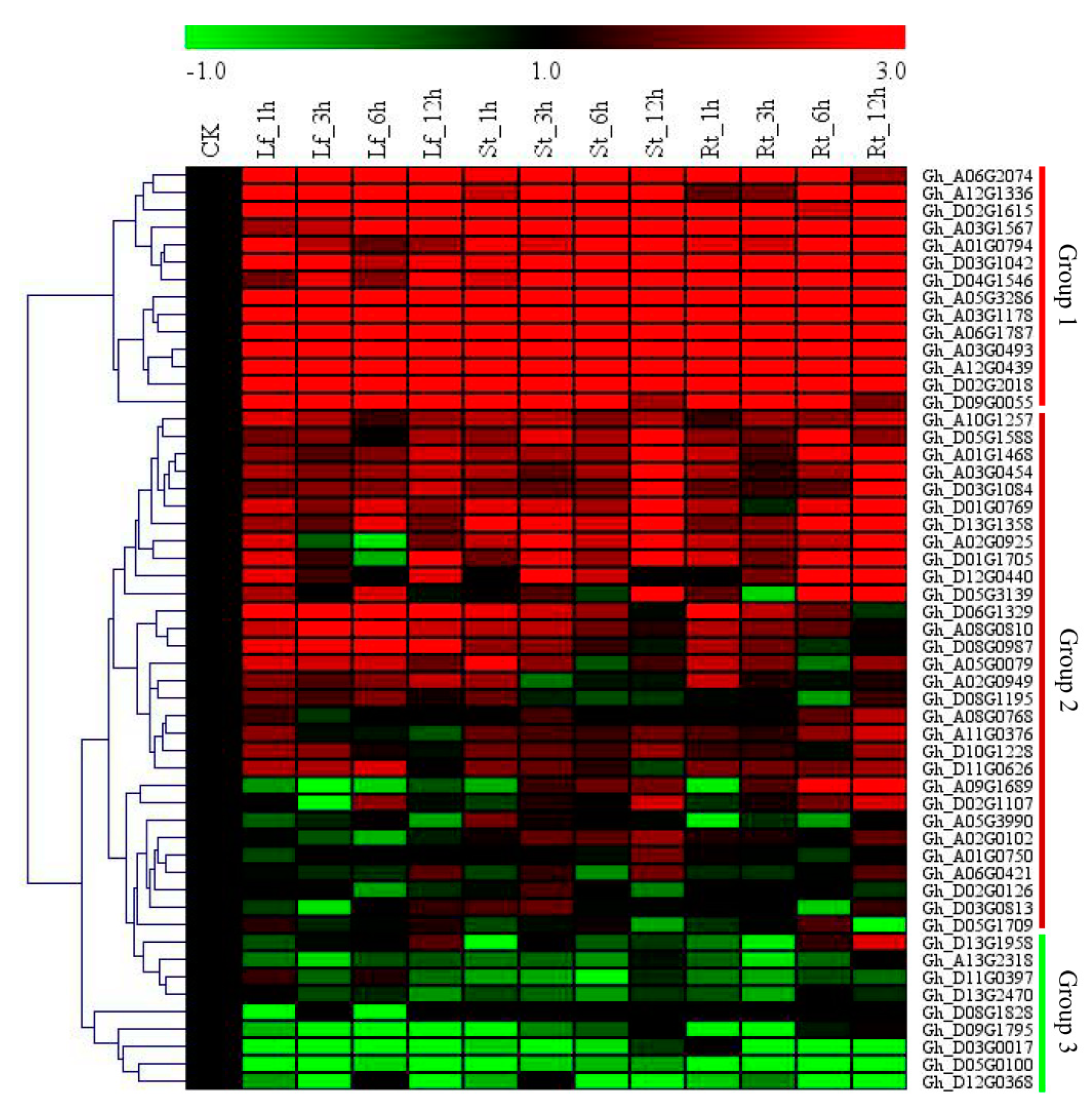 Ijms 20 04953 g004 Ijms 20 04953 g004