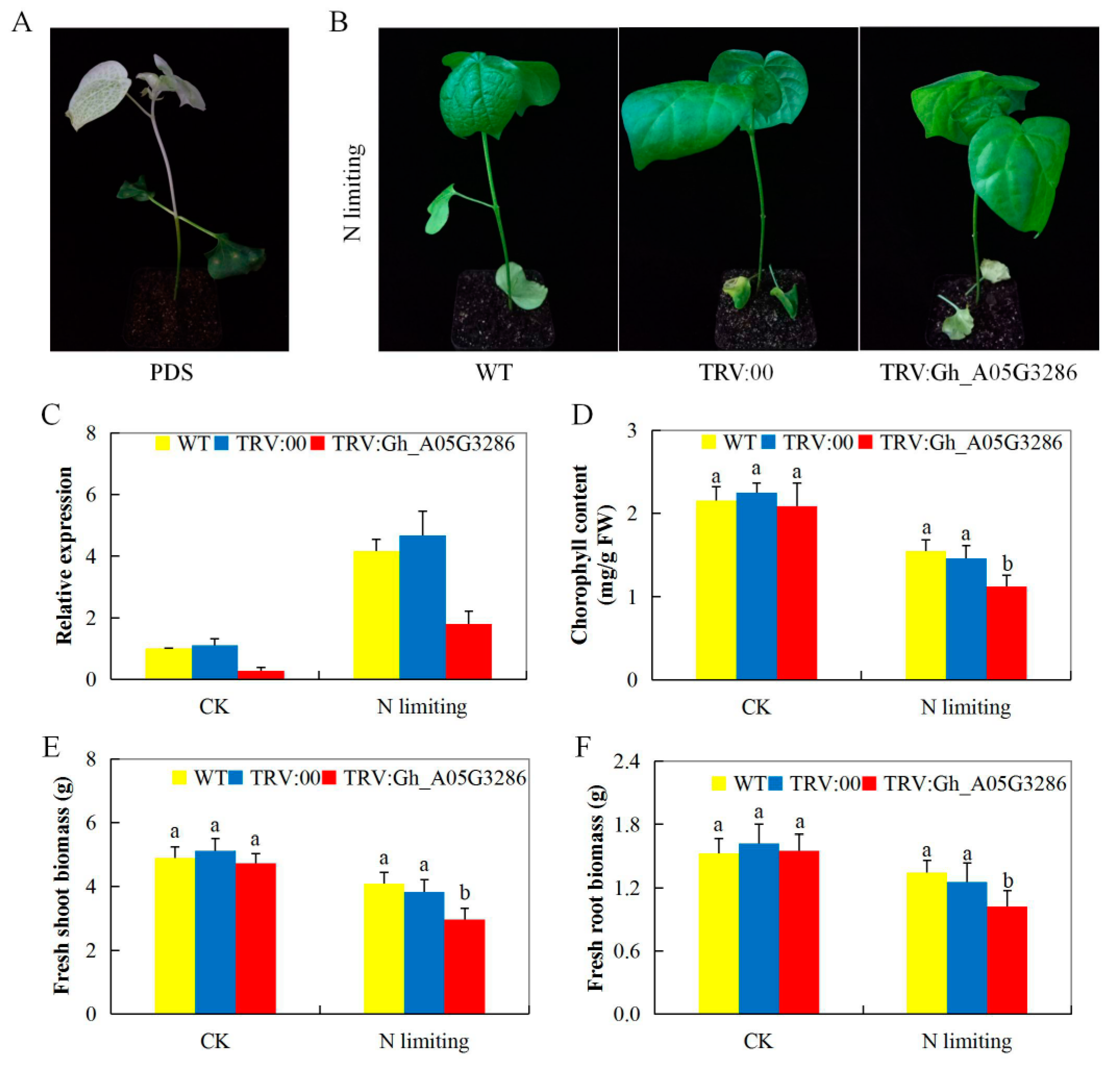 Ijms 20 04953 g005 Ijms 20 04953 g005