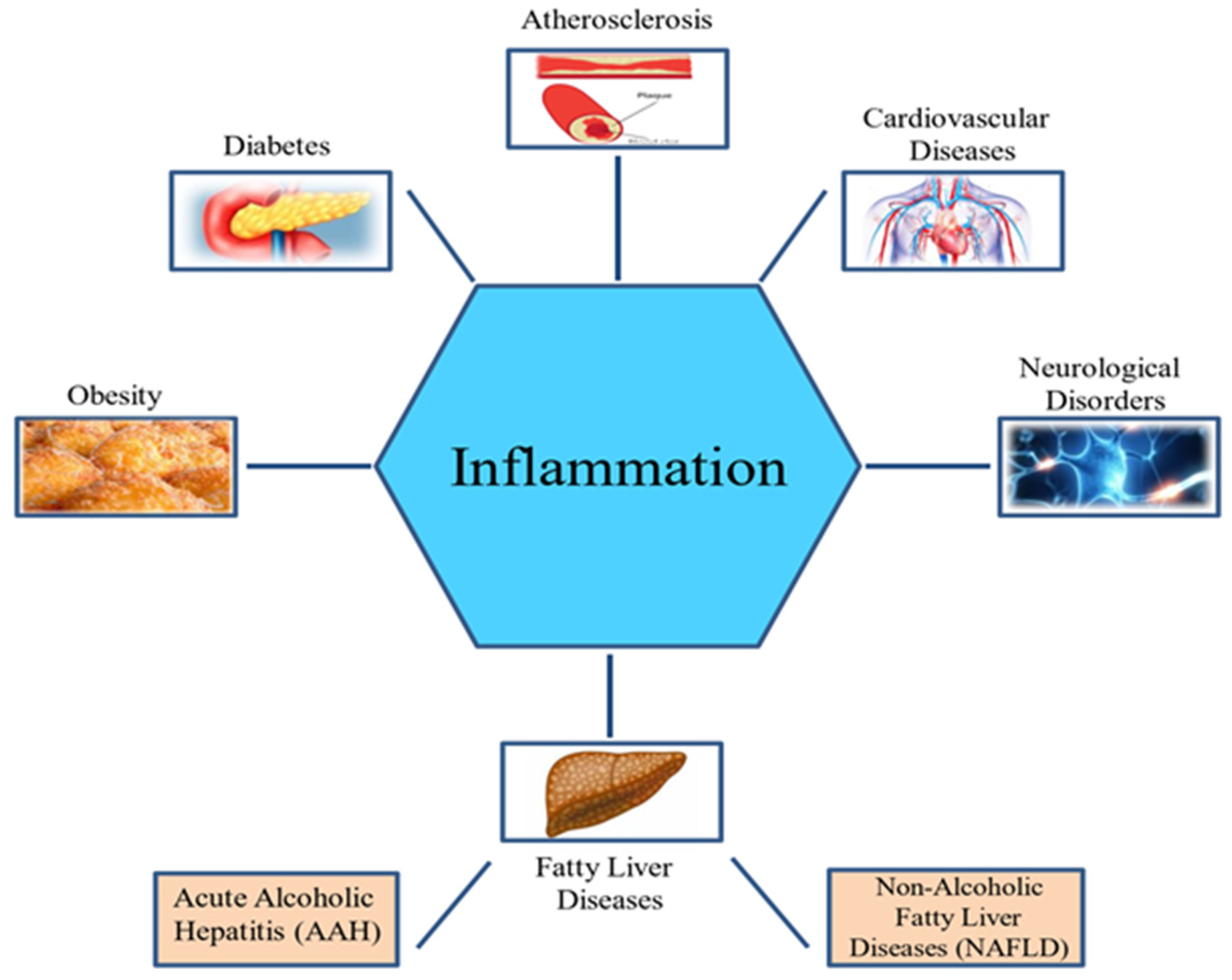 Ijms 20 04957 g001 Ijms 20 04957 g001
