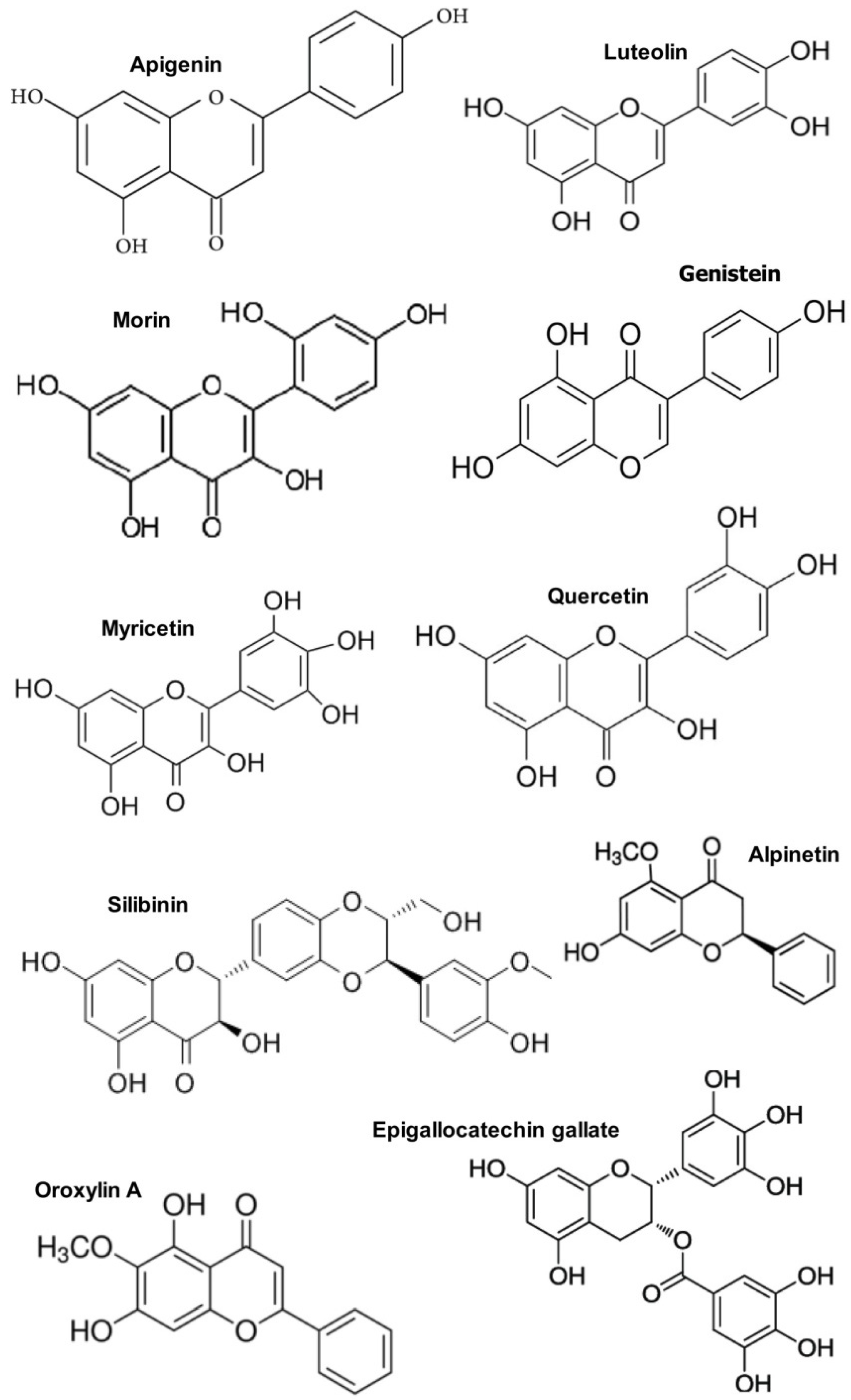 Ijms 20 04957 g002 Ijms 20 04957 g002