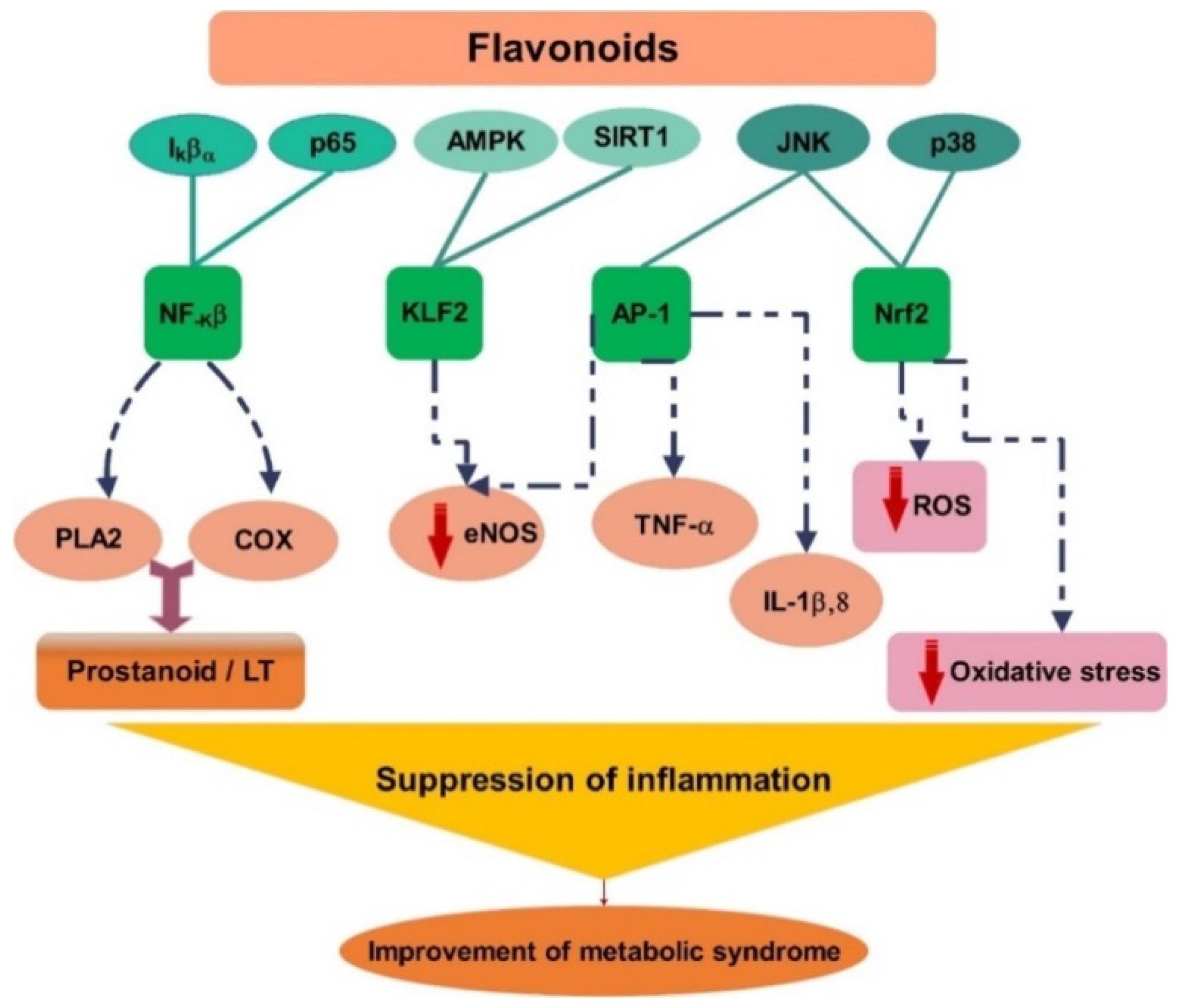 Ijms 20 04957 g003 Ijms 20 04957 g003
