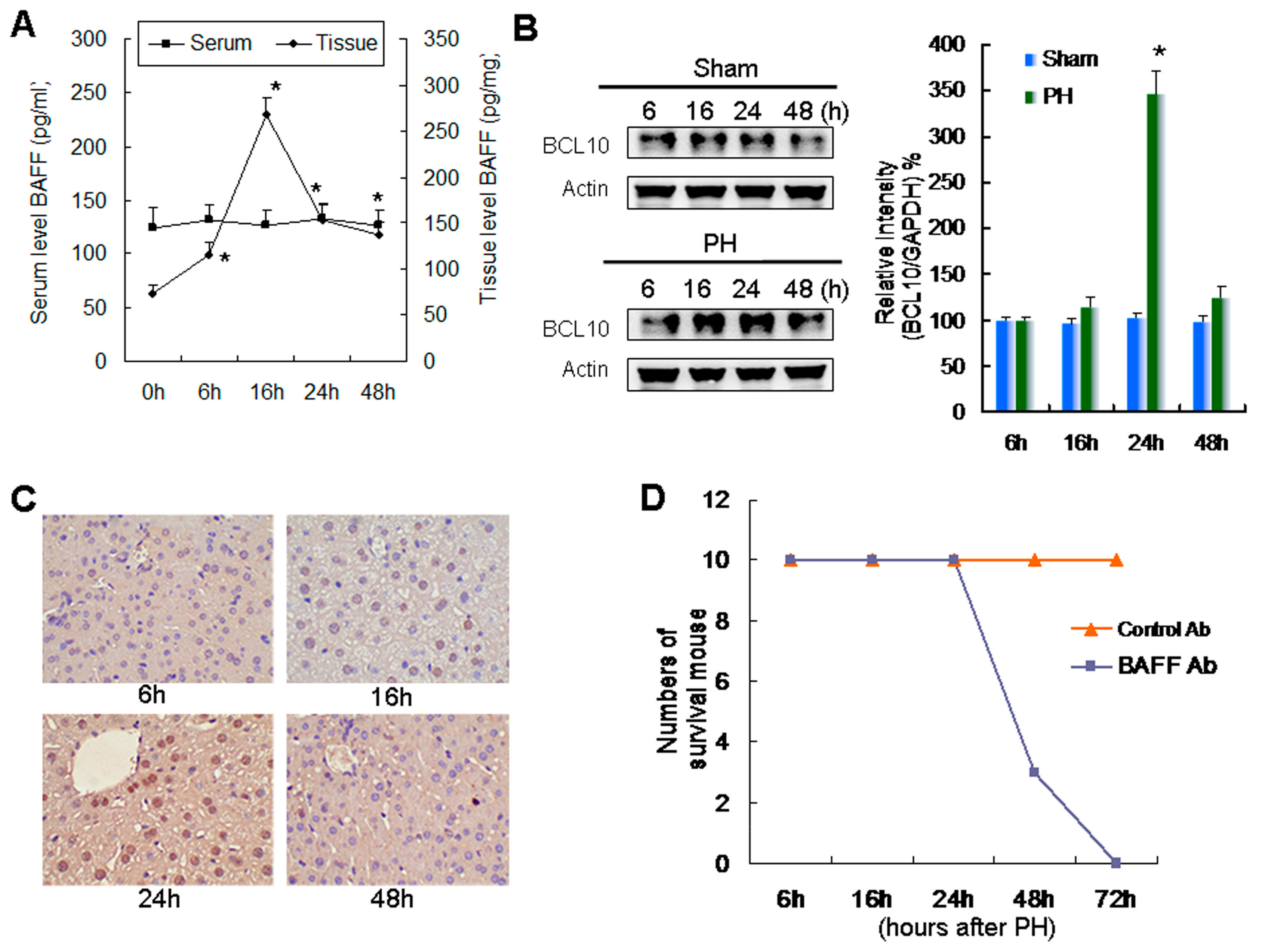 Ijms 20 05022 g001 Ijms 20 05022 g001