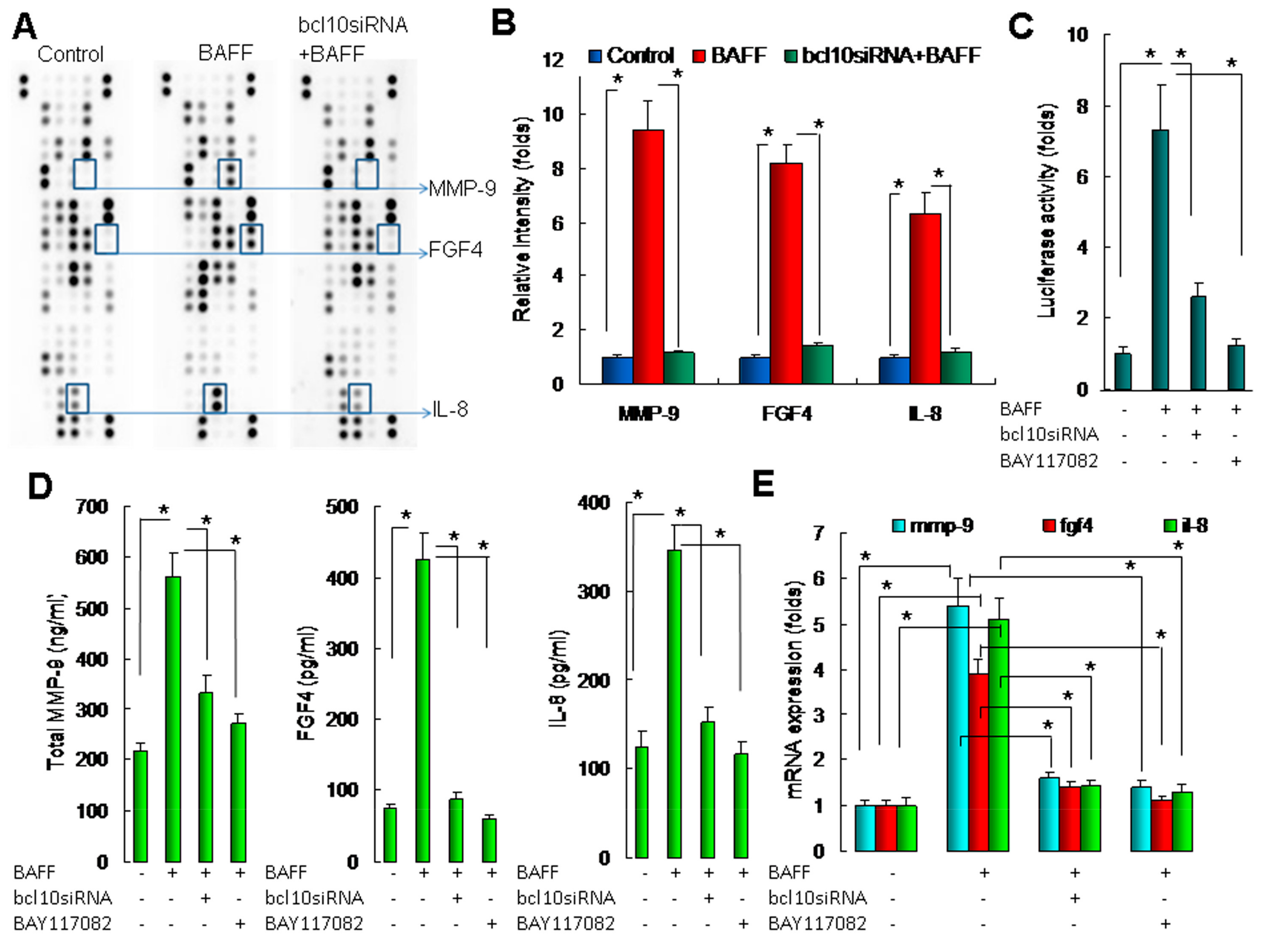 Ijms 20 05022 g004 Ijms 20 05022 g004