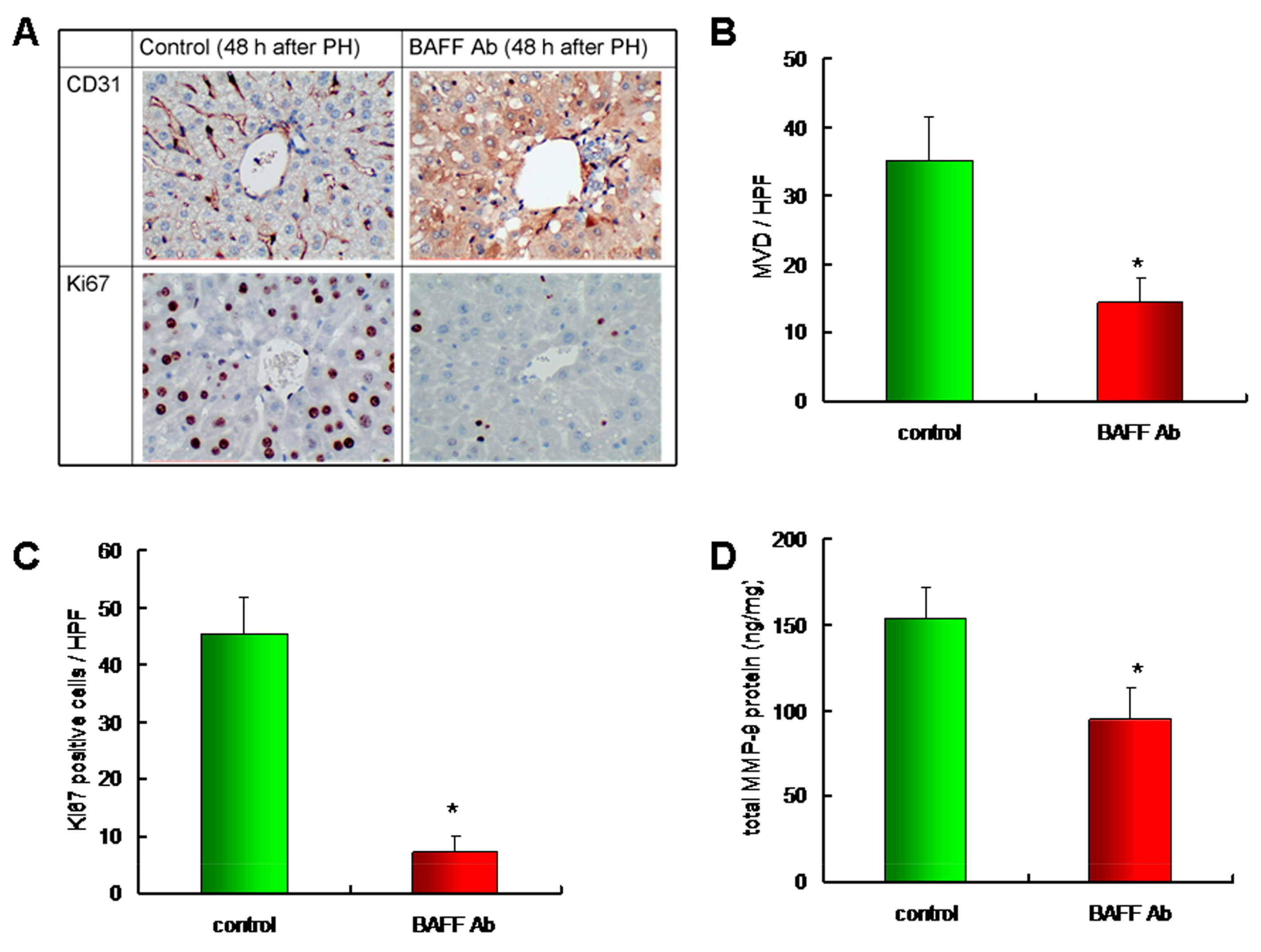 Ijms 20 05022 g005 Ijms 20 05022 g005