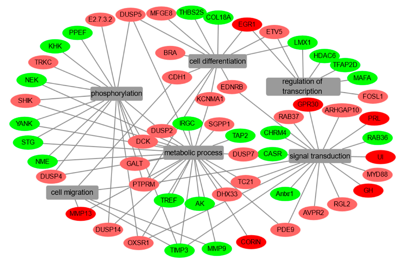 Ijms 20 05172 g002