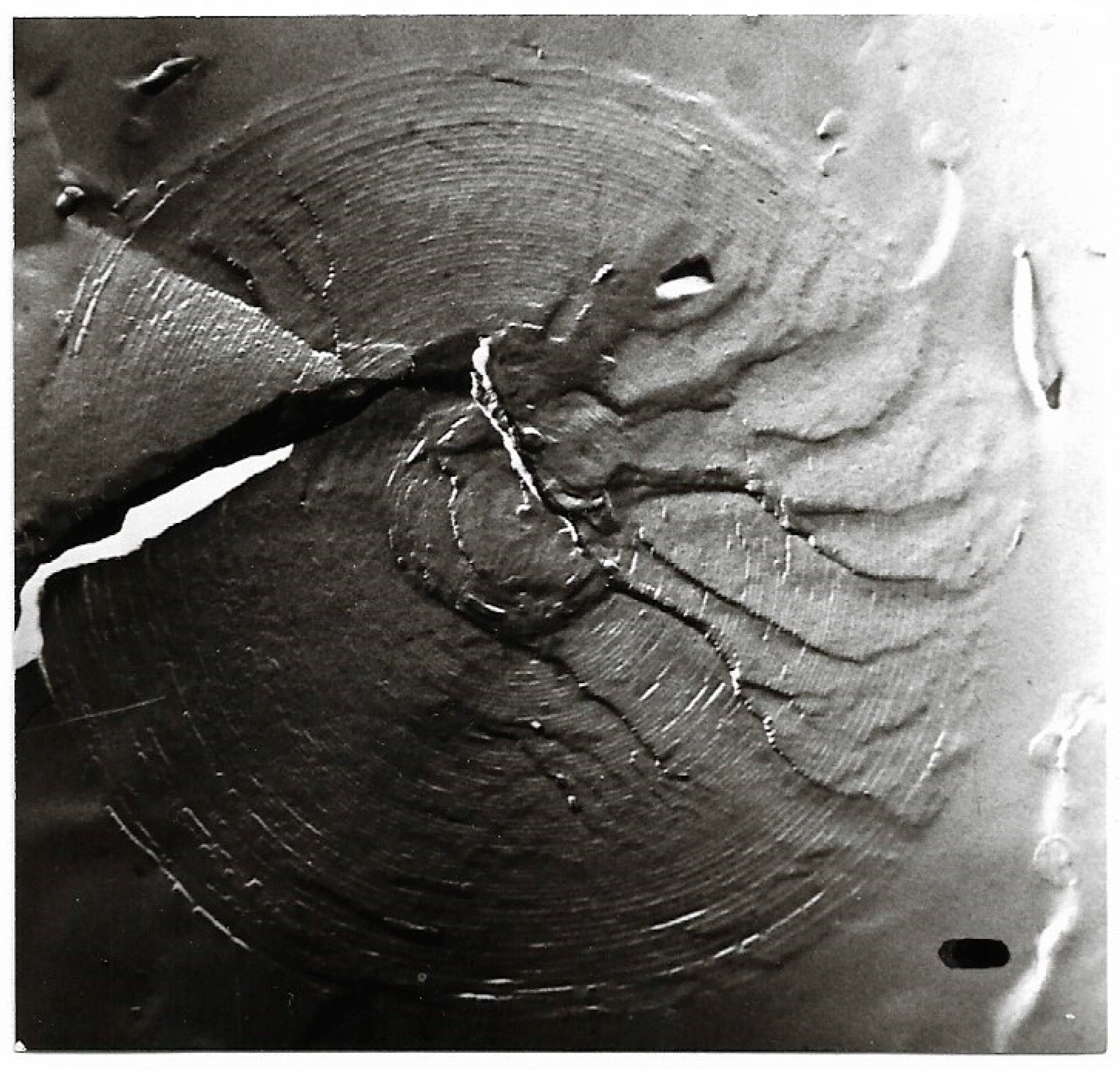 Ijms 20 05217 g005