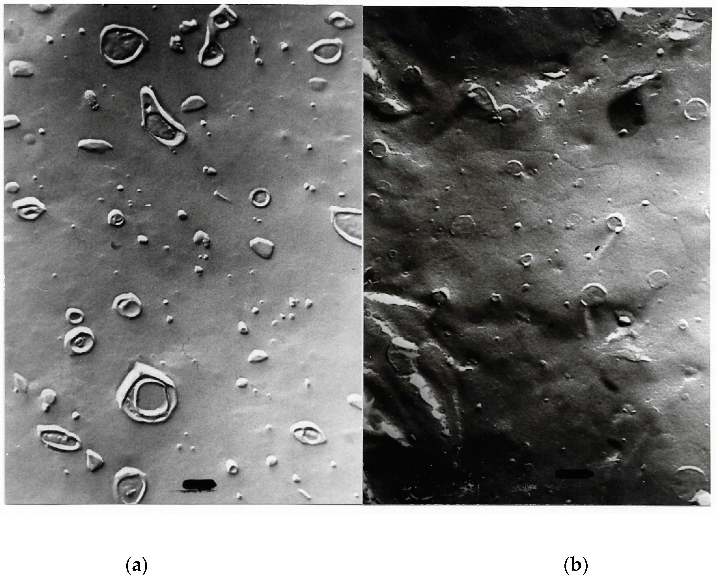 Ijms 20 05217 g007