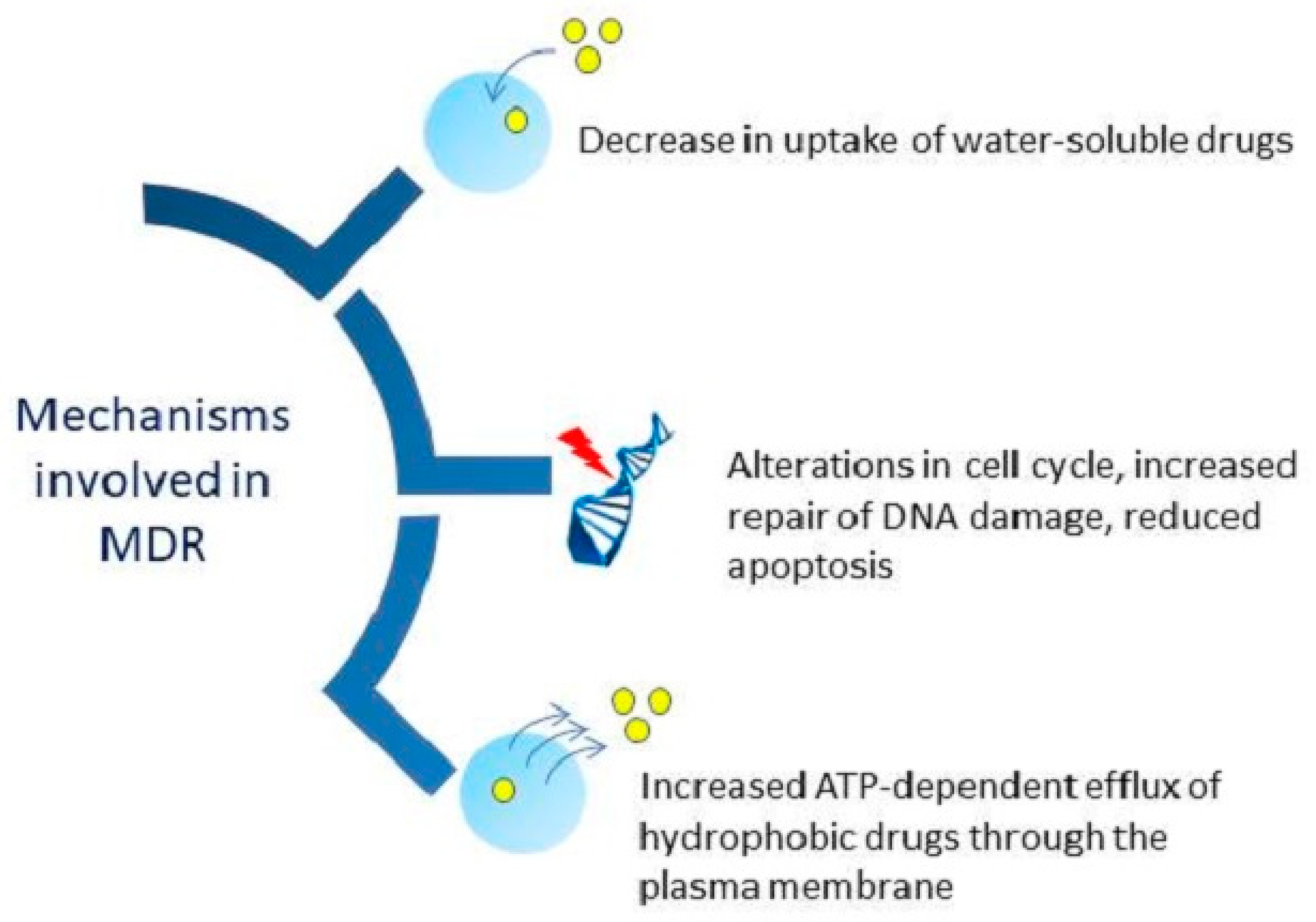 Ijms 20 05243 g003 Ijms 20 05243 g003
