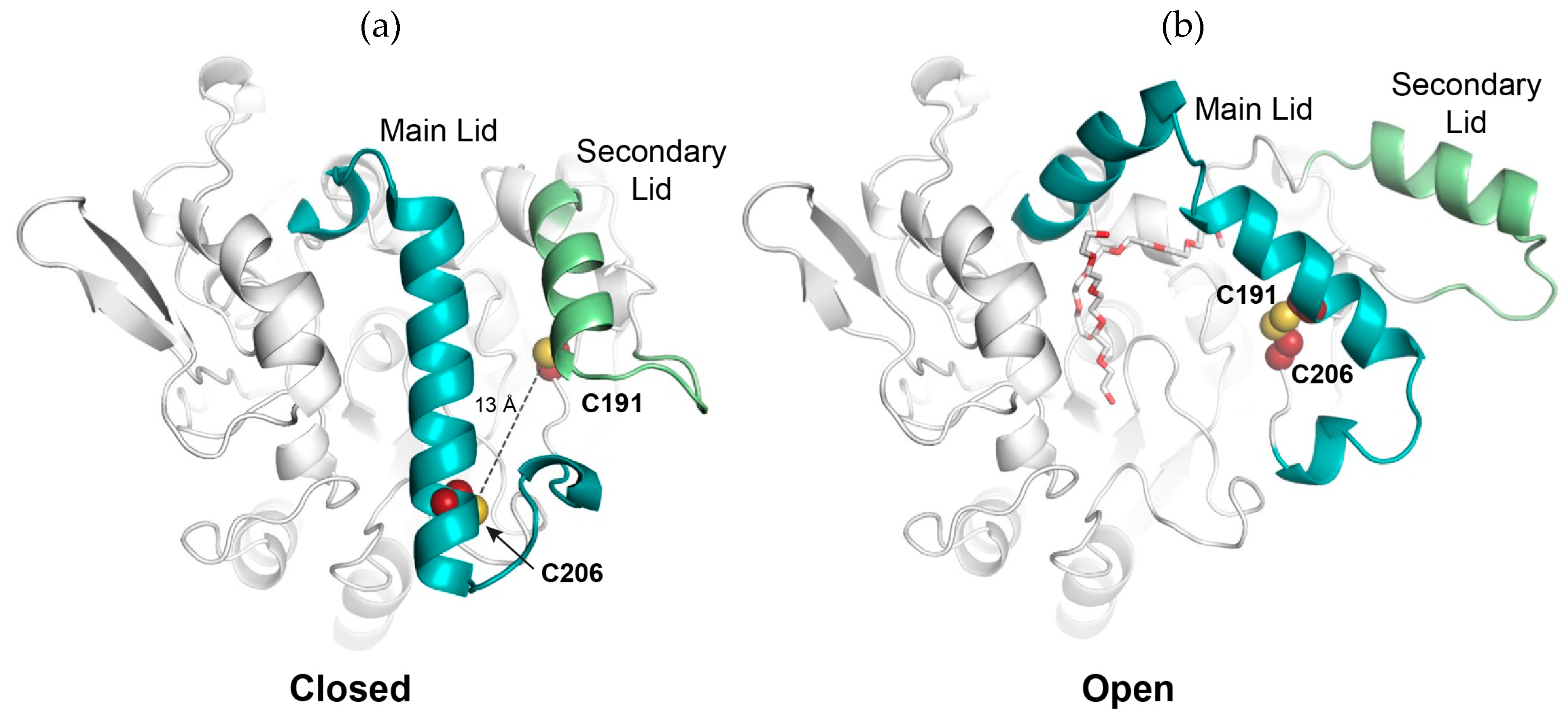 Ijms 20 05245 g001 Ijms 20 05245 g001