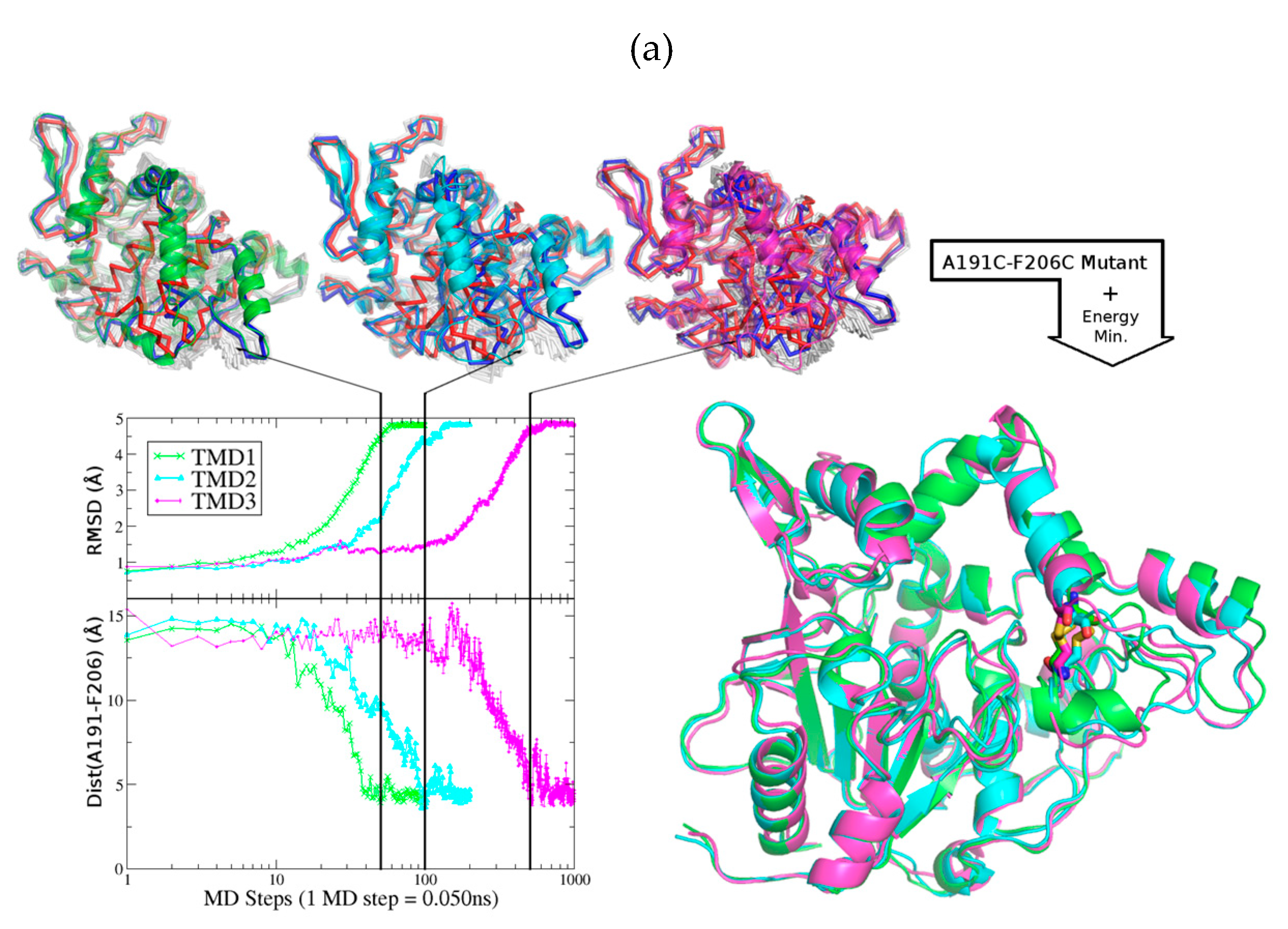 Ijms 20 05245 g004a Ijms 20 05245 g004a