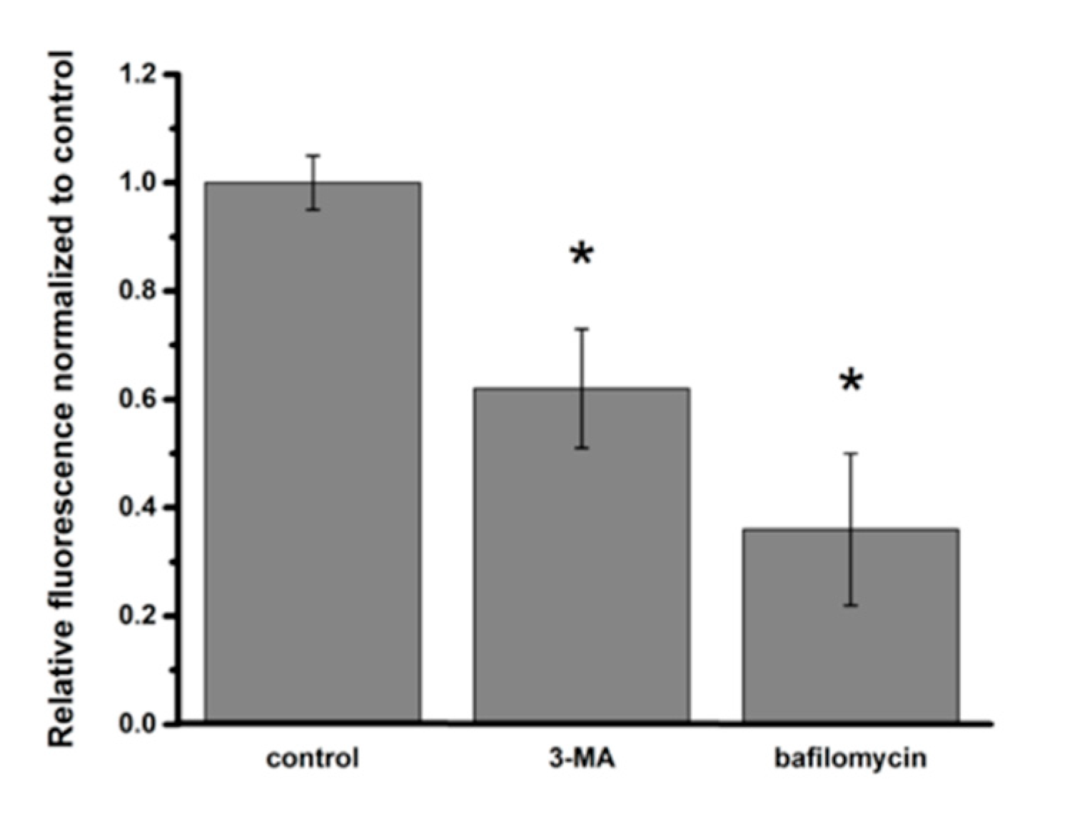Ijms 20 05253 g007 Ijms 20 05253 g007