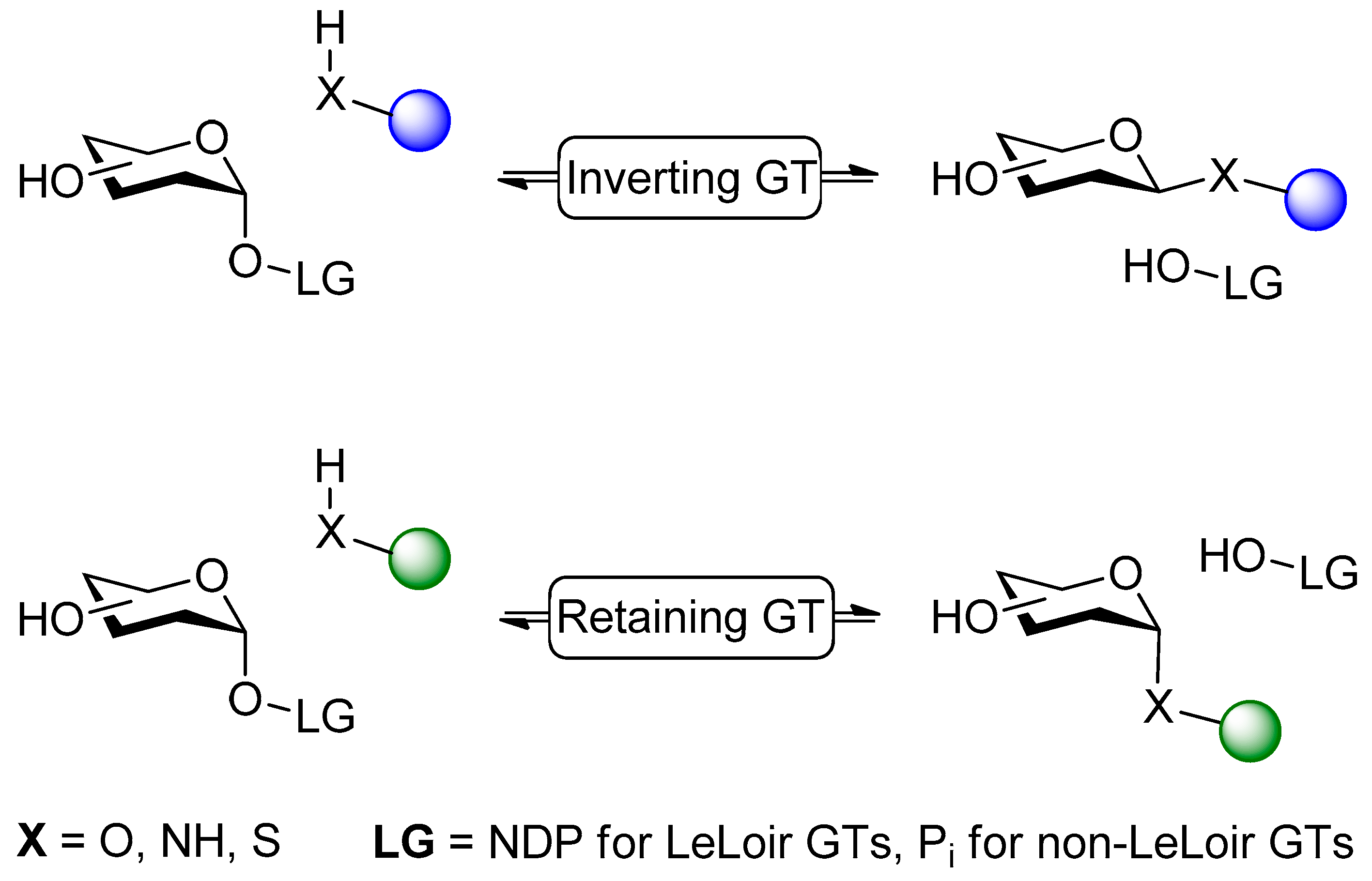 Ijms 20 05263 sch001