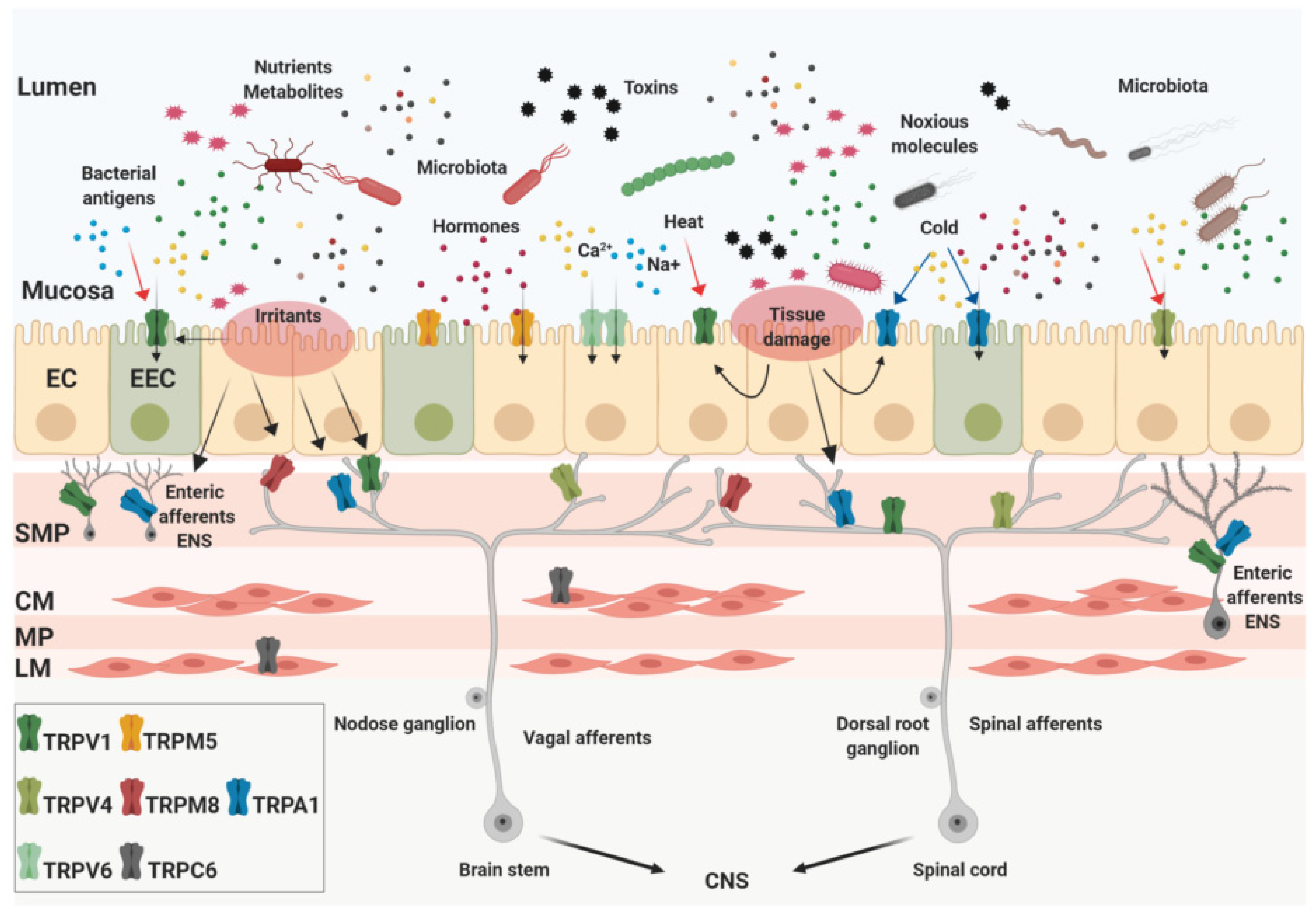 Ijms 20 05277 g001 Ijms 20 05277 g001