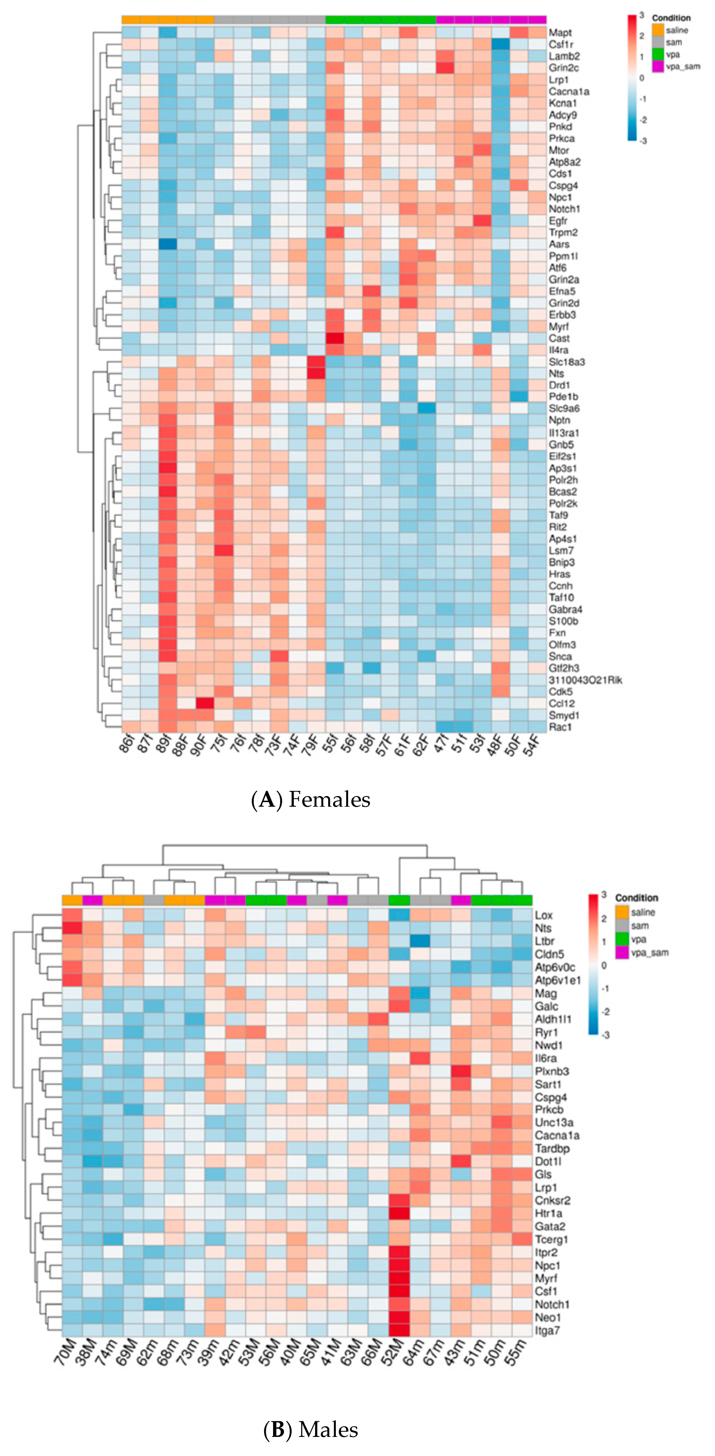 Ijms 20 05278 g001 Ijms 20 05278 g001