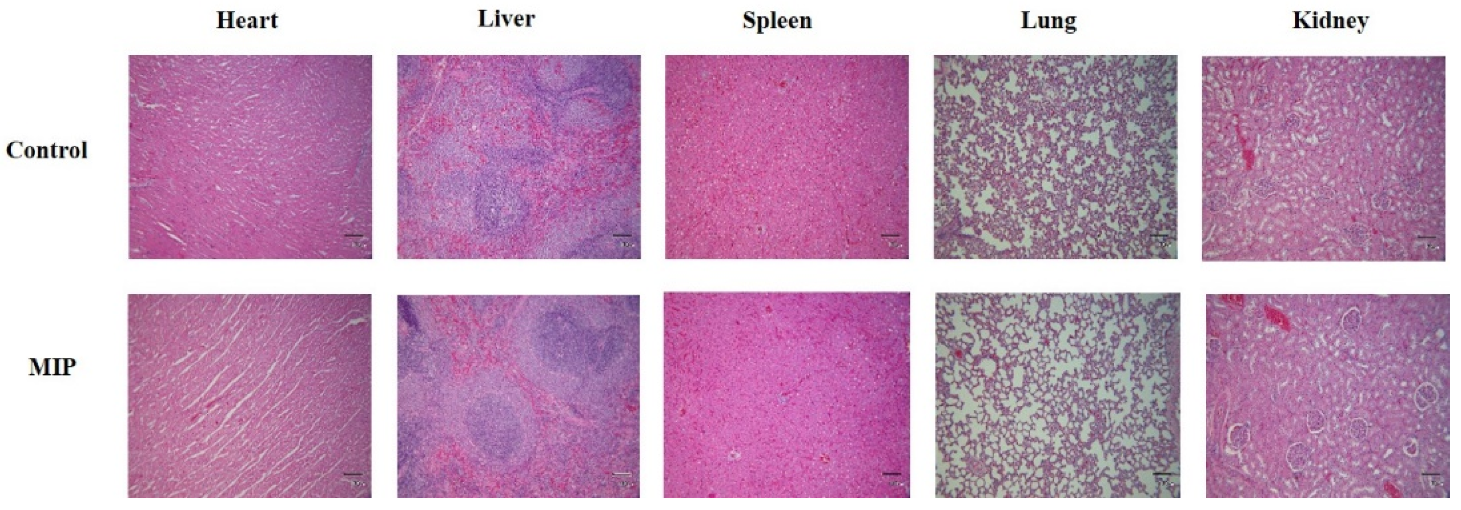 Ijms 20 05291 g008 Ijms 20 05291 g008