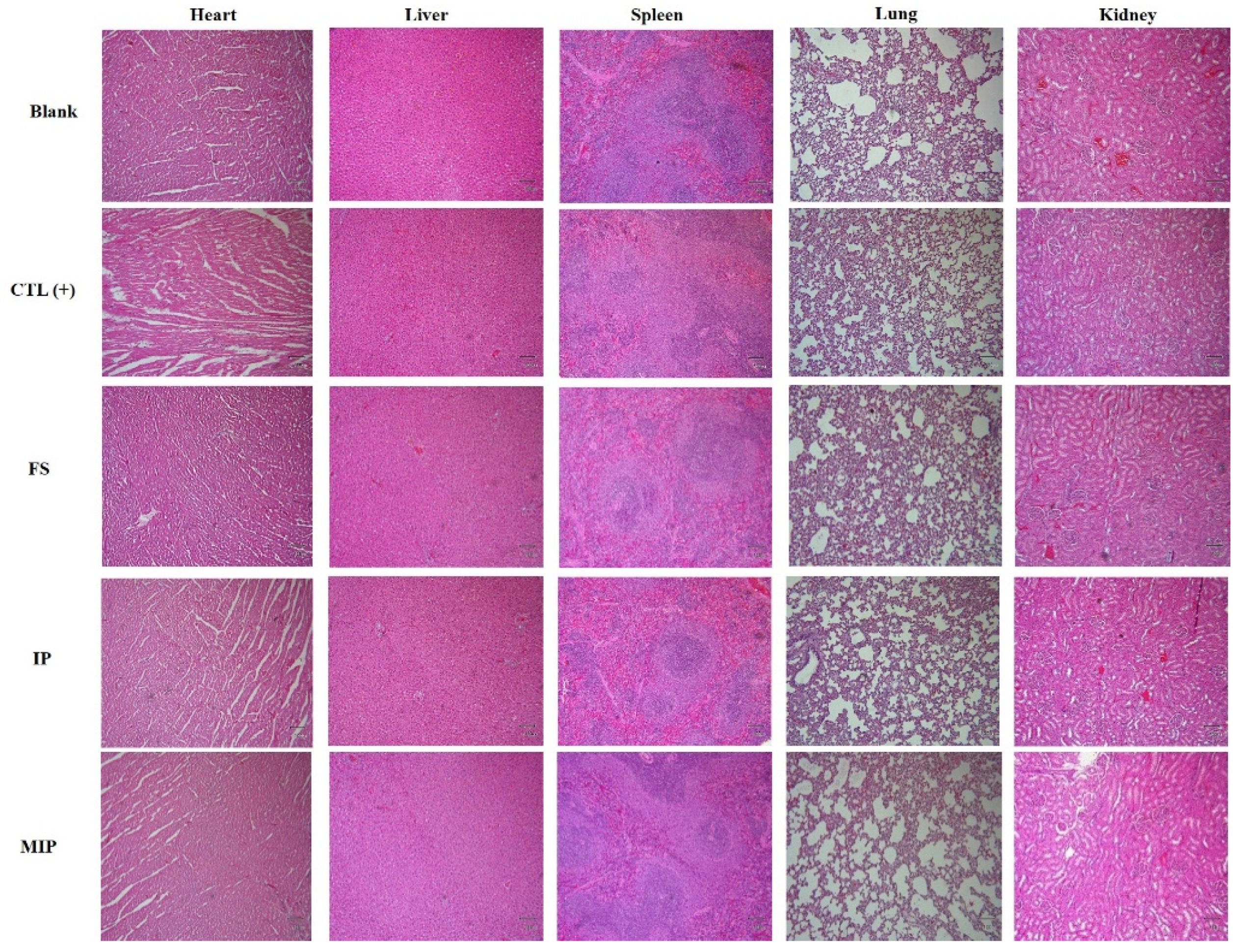 Ijms 20 05291 g010 Ijms 20 05291 g010