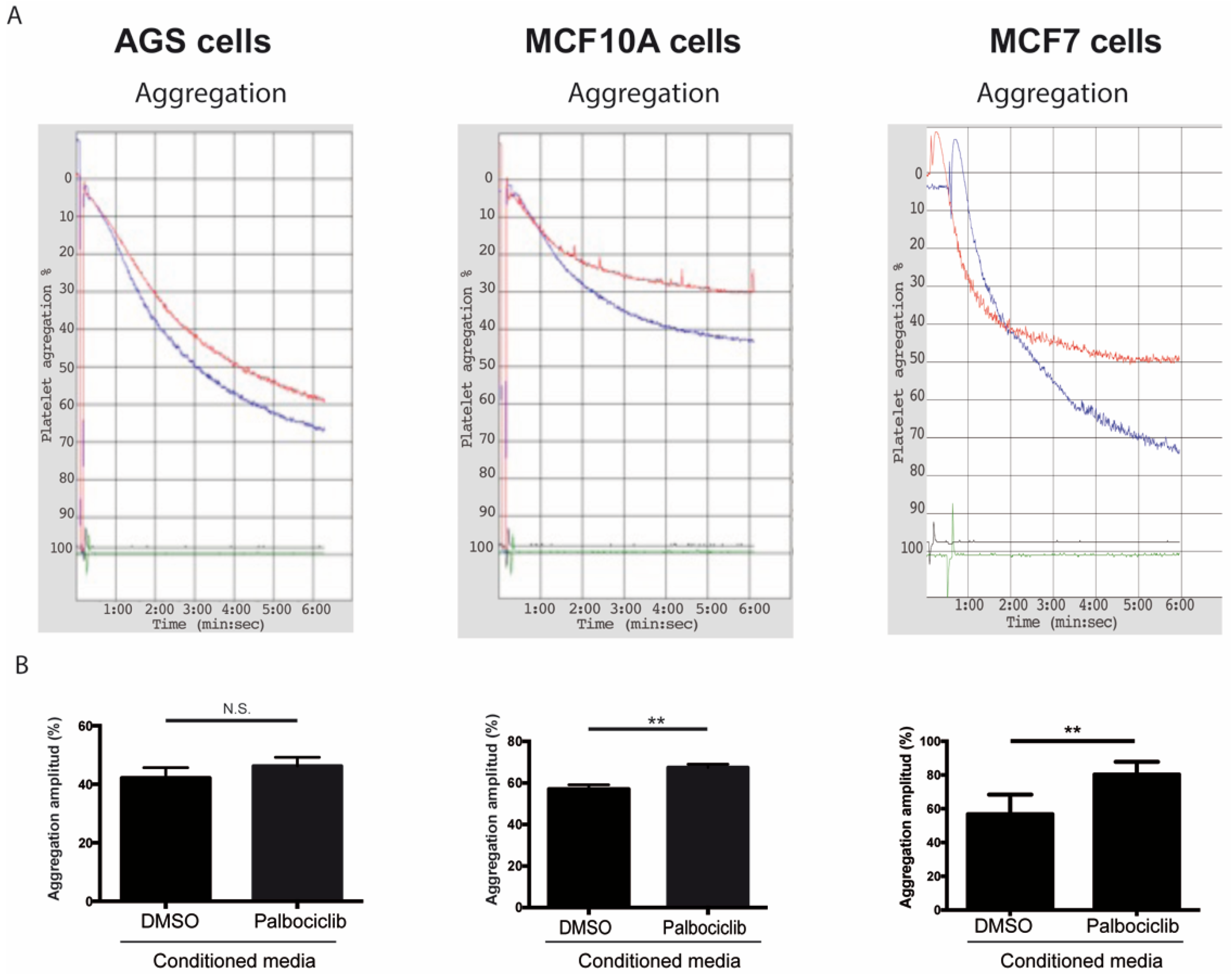 Ijms 20 05292 g002 Ijms 20 05292 g002