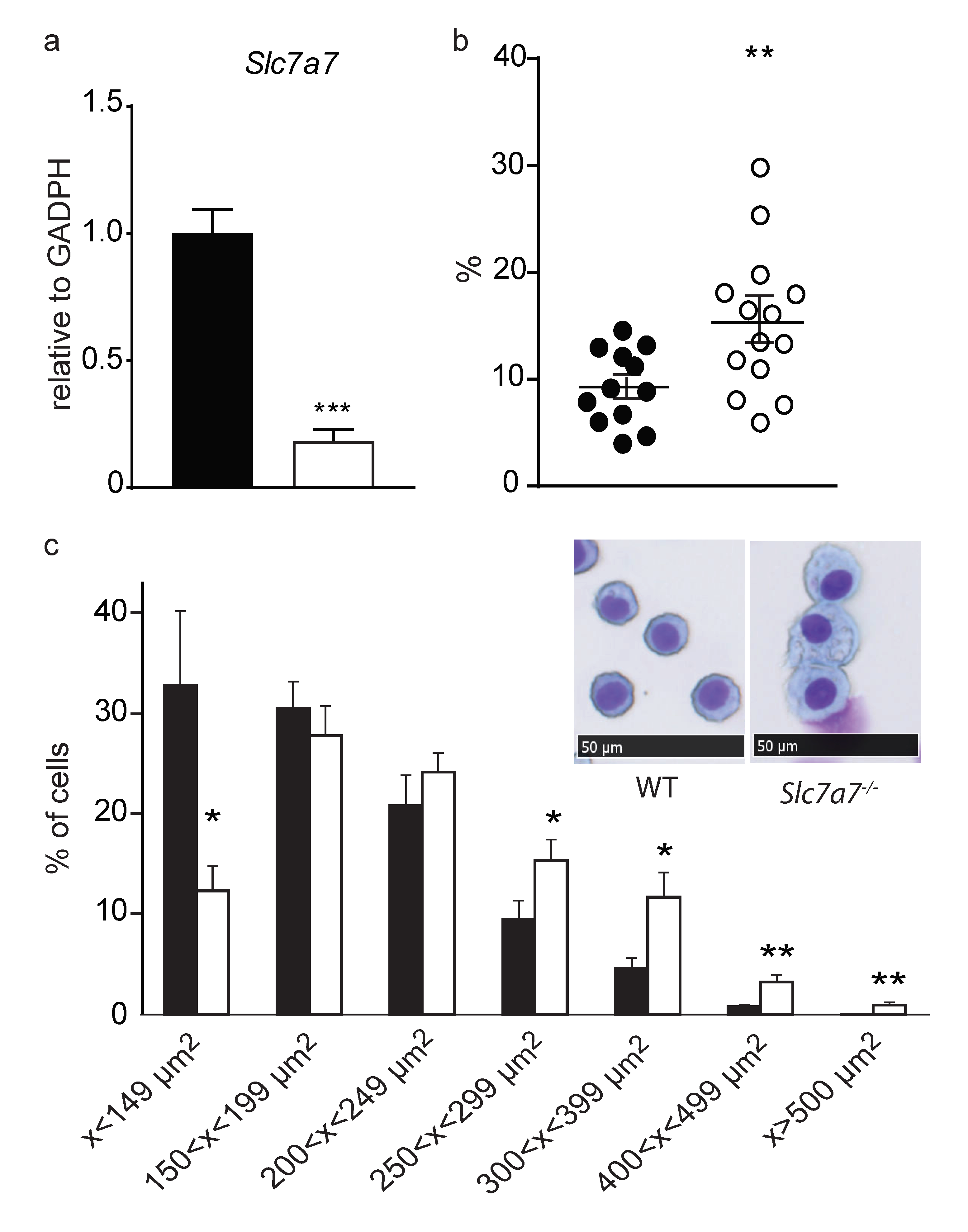 Ijms 20 05294 g005 Ijms 20 05294 g005