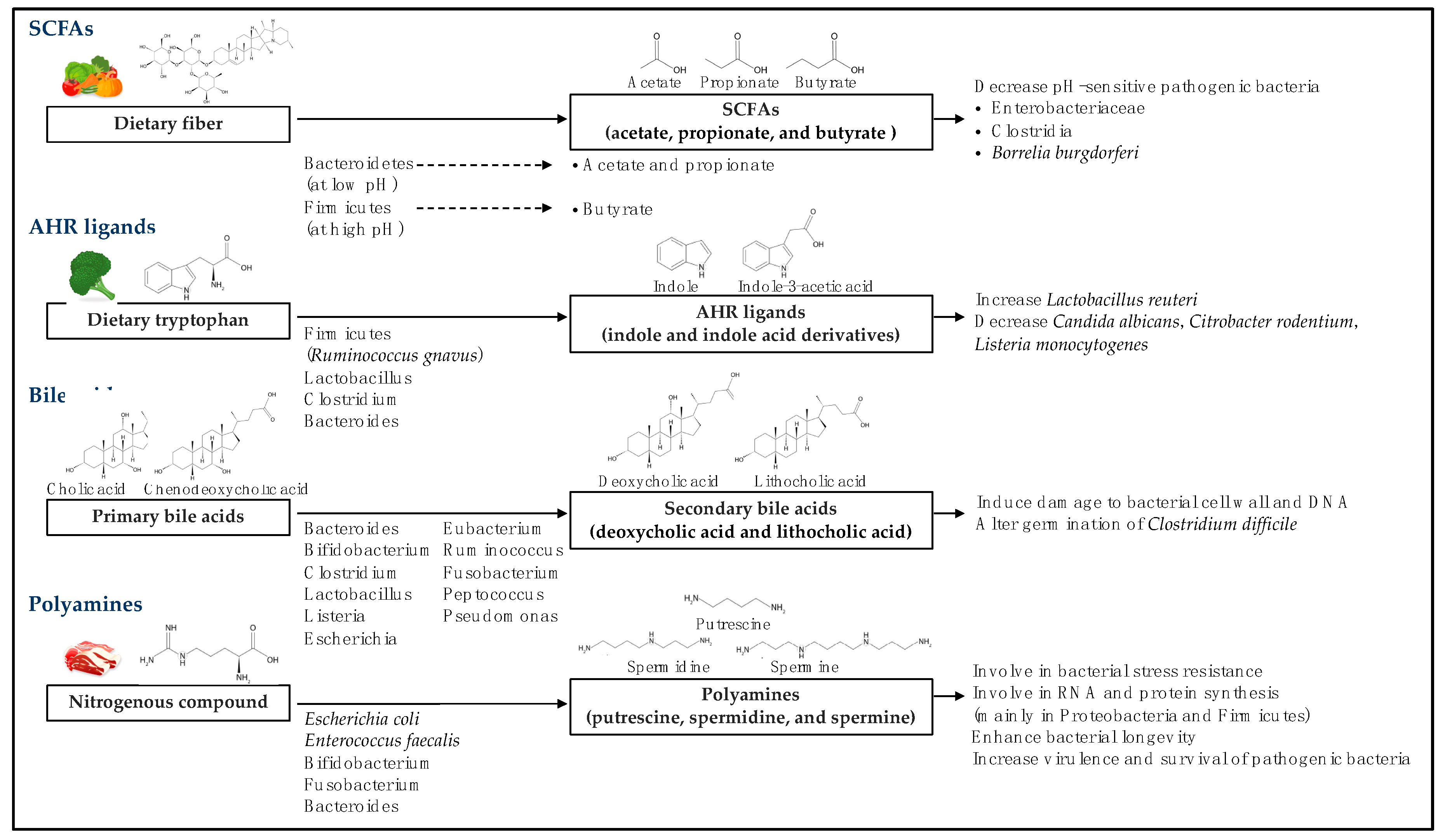 Ijms 20 05296 g001 Ijms 20 05296 g001