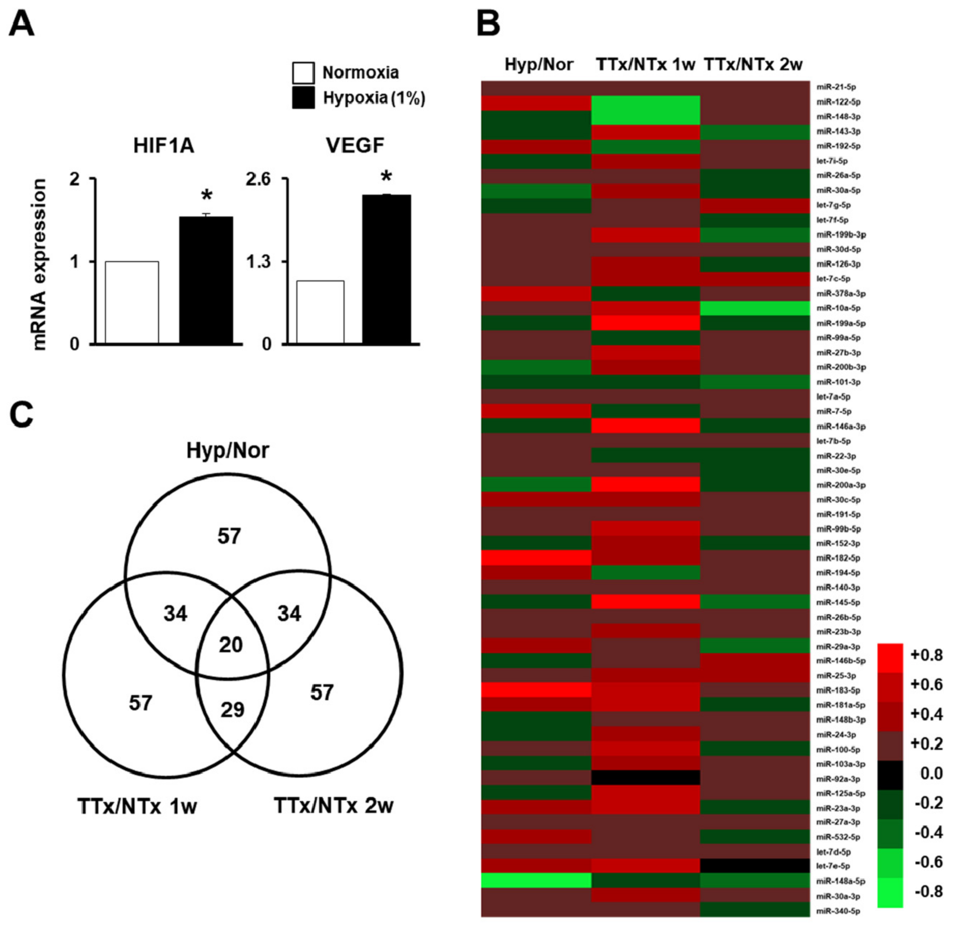 Ijms 20 05299 g001 Ijms 20 05299 g001