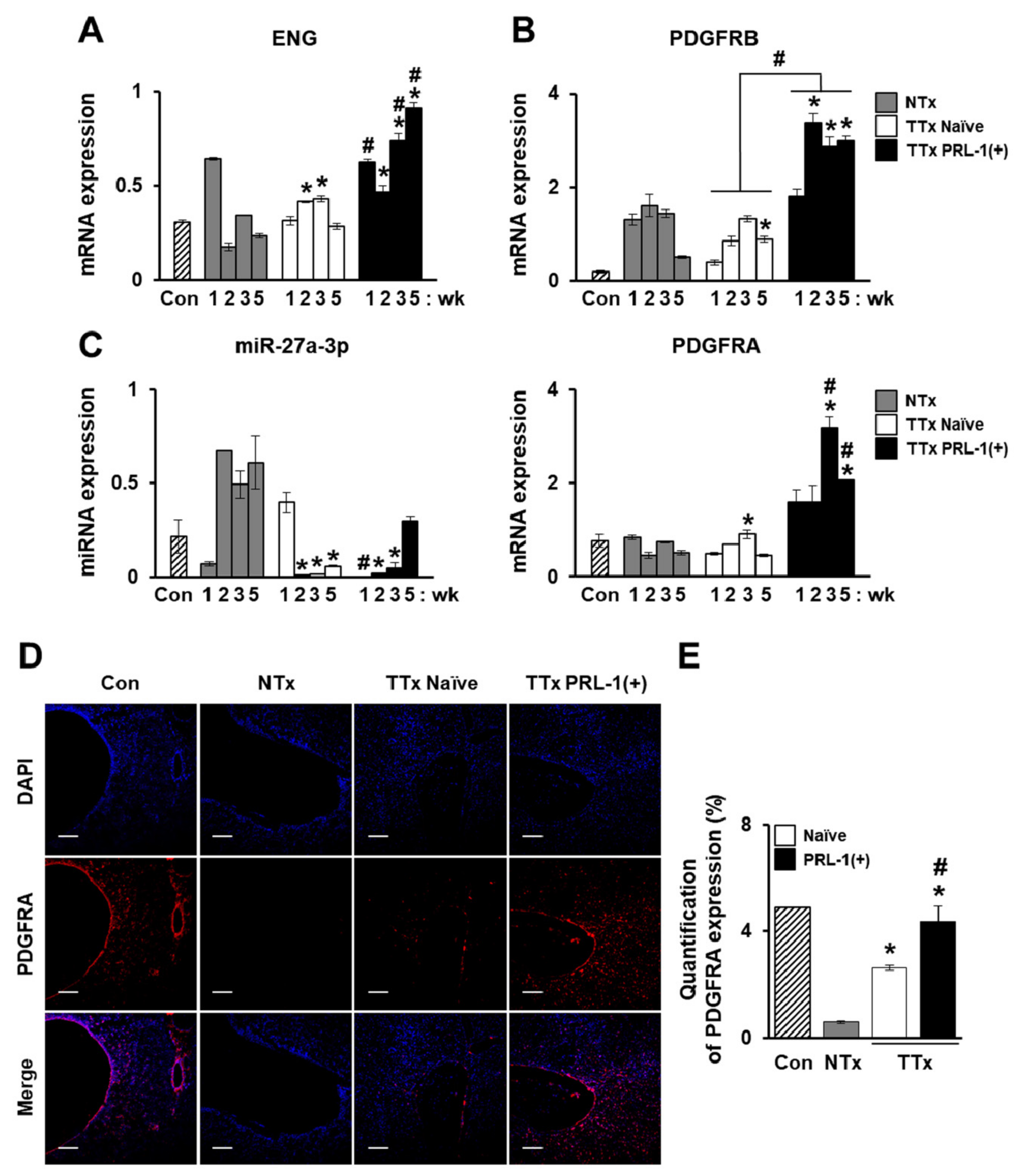 Ijms 20 05299 g005 Ijms 20 05299 g005