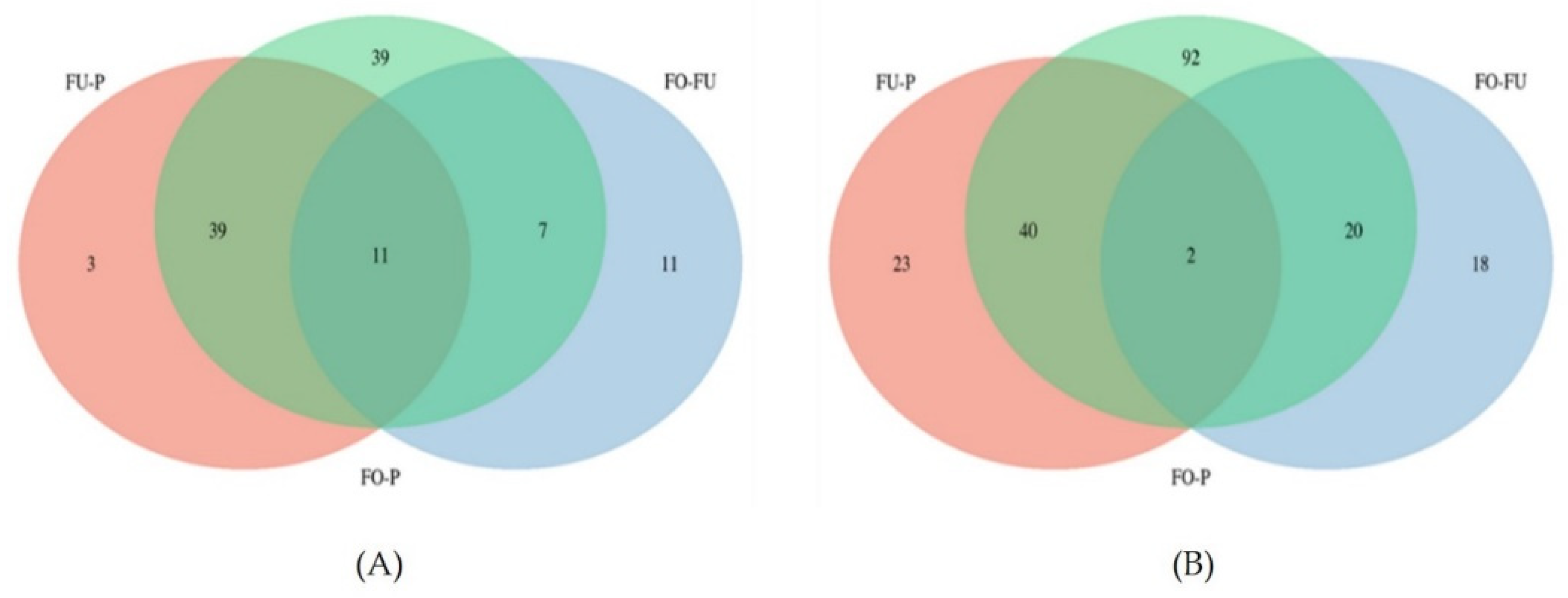 Ijms 20 05305 g004 Ijms 20 05305 g004