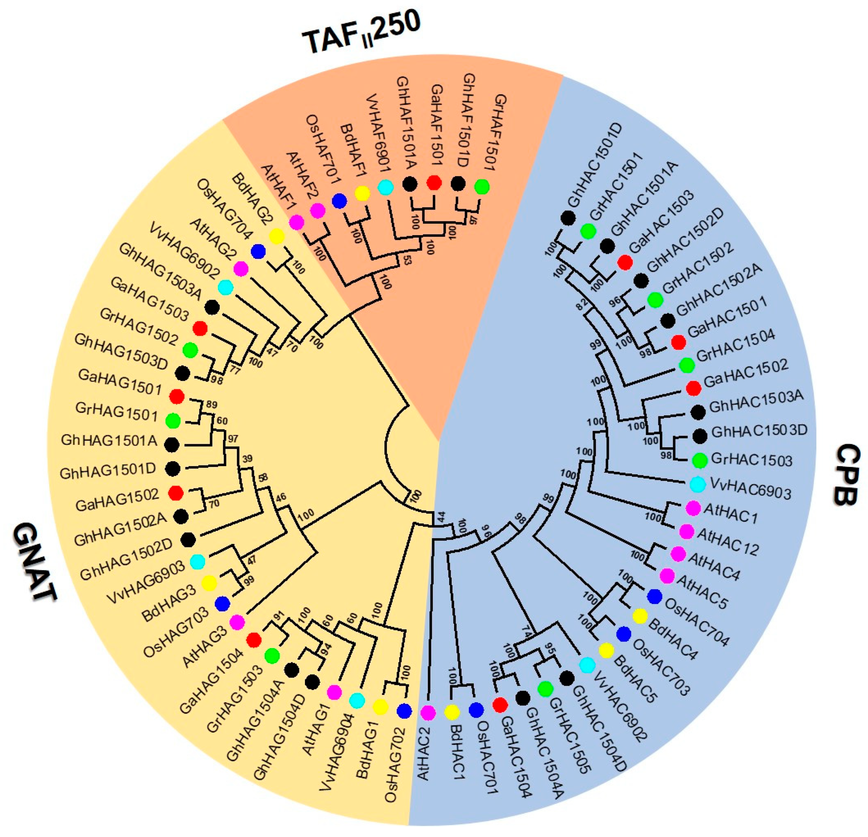 Ijms 20 05311 g001 Ijms 20 05311 g001