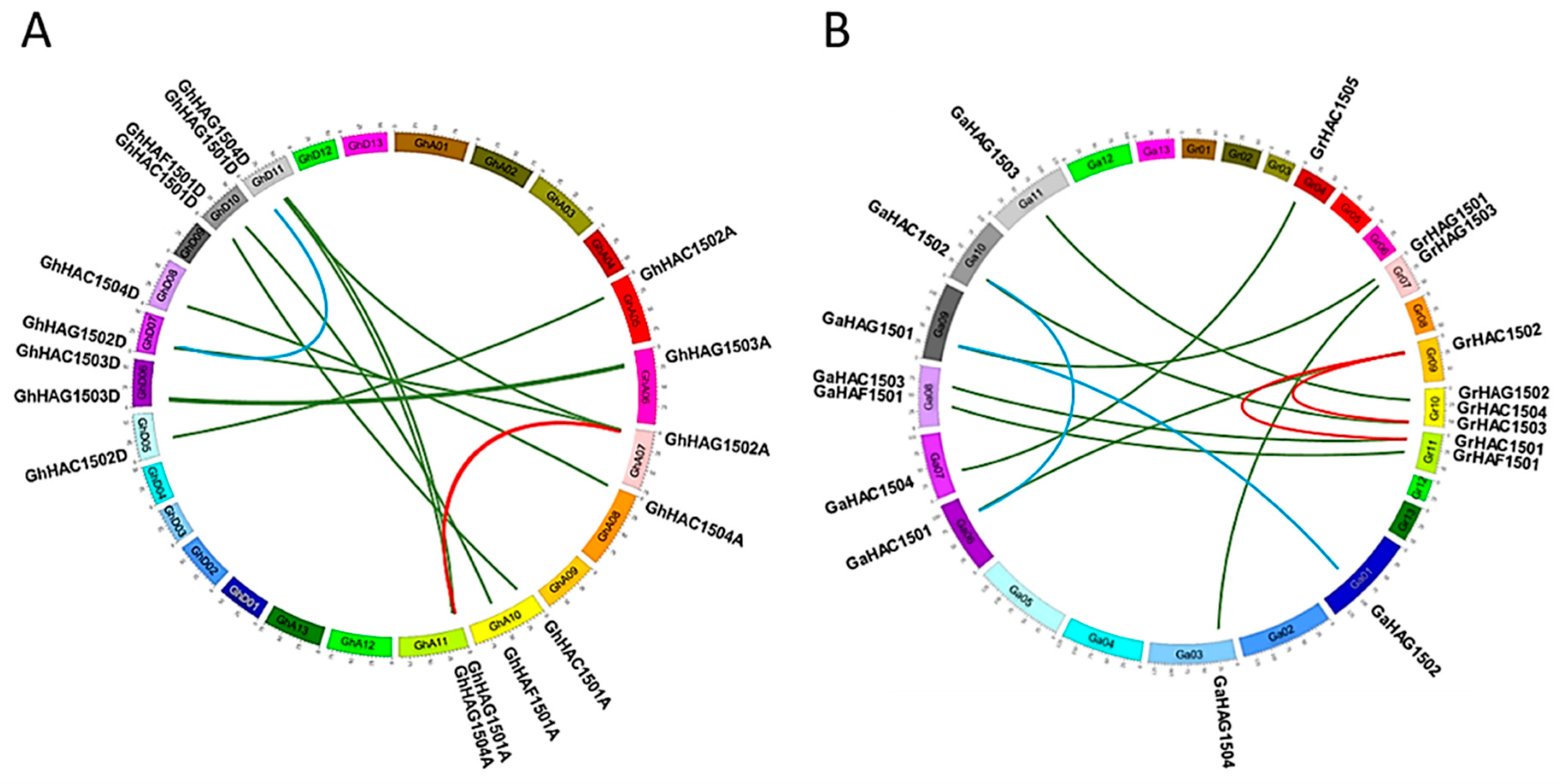 Ijms 20 05311 g003 Ijms 20 05311 g003