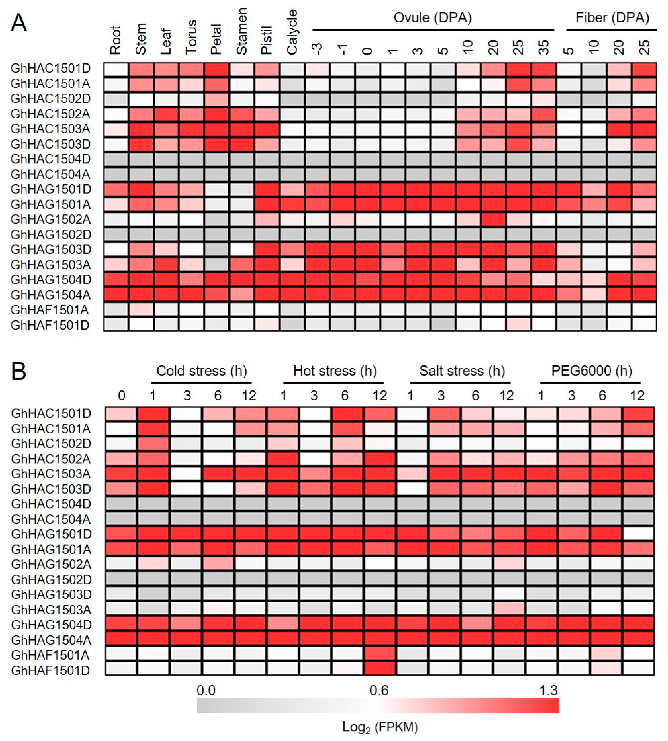 Ijms 20 05311 g004 Ijms 20 05311 g004