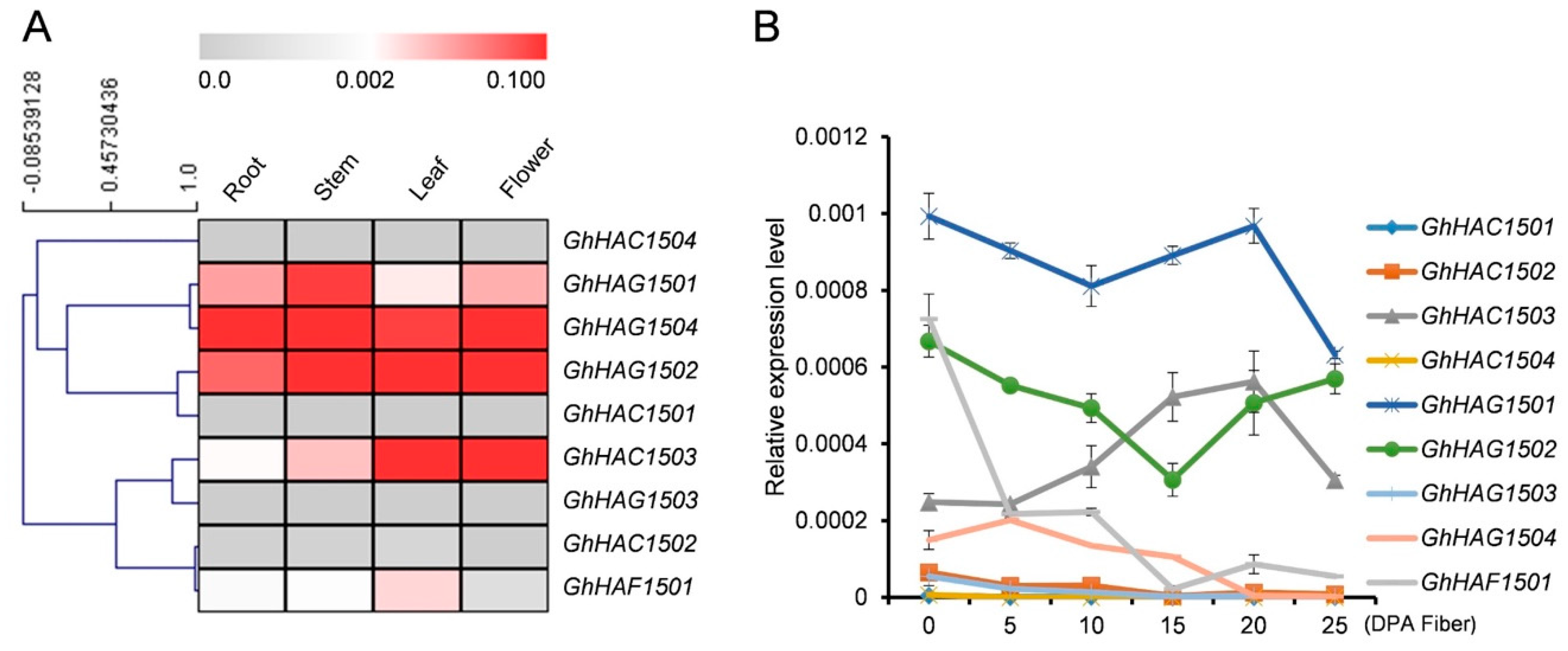Ijms 20 05311 g005 Ijms 20 05311 g005