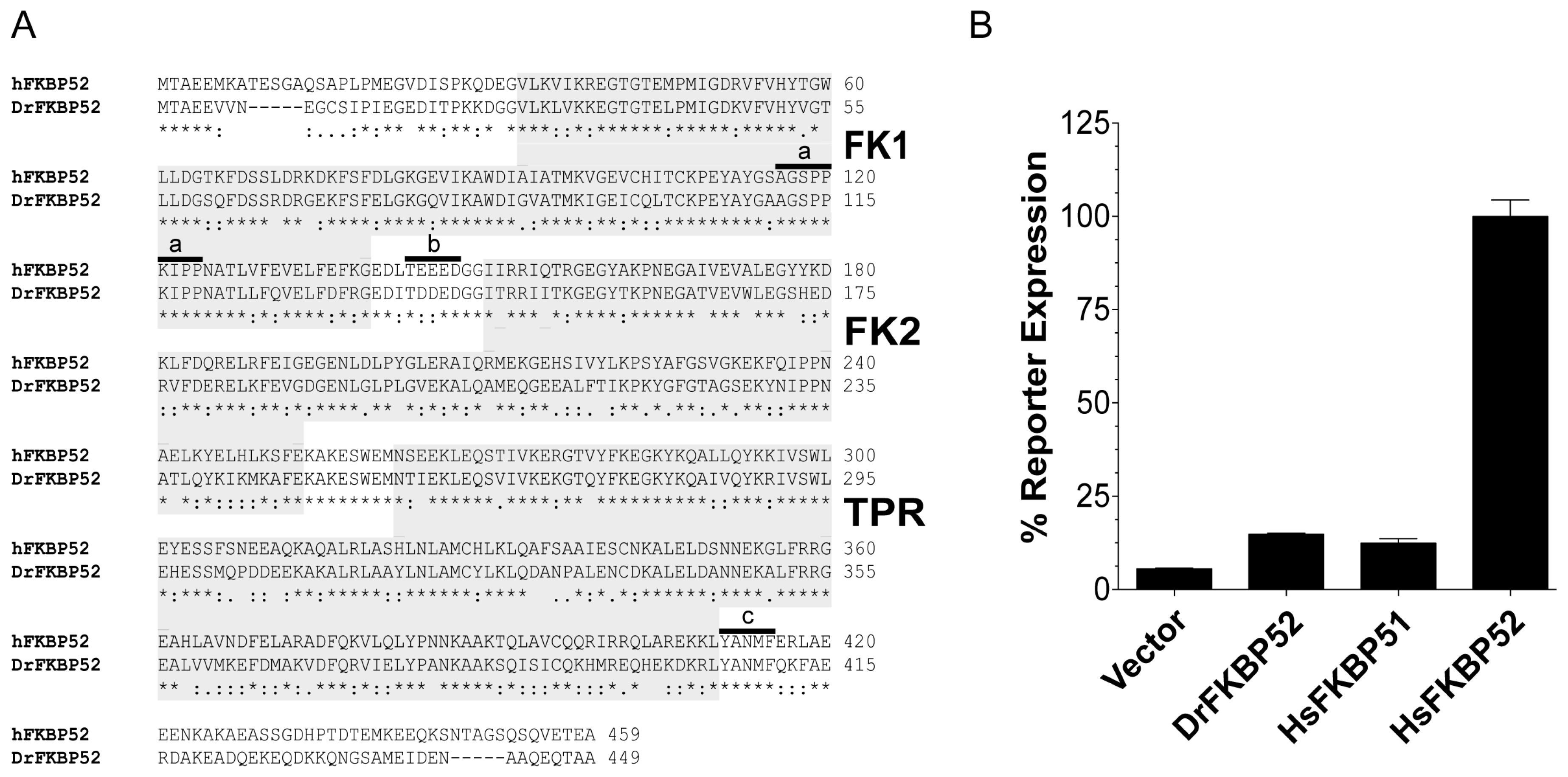 Ijms 20 05346 g001 Ijms 20 05346 g001