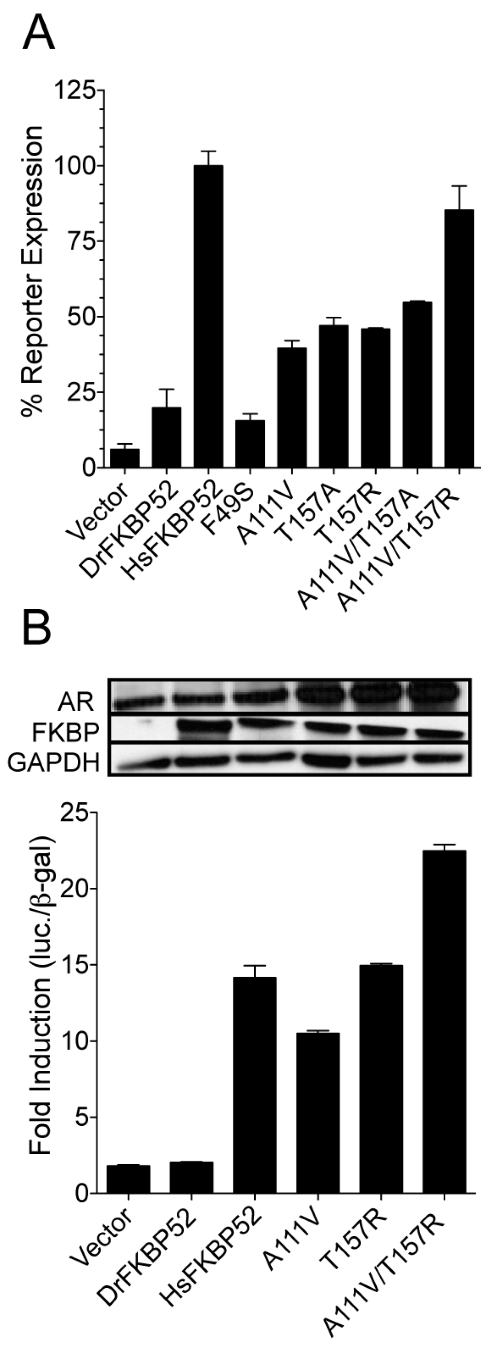 Ijms 20 05346 g004 Ijms 20 05346 g004
