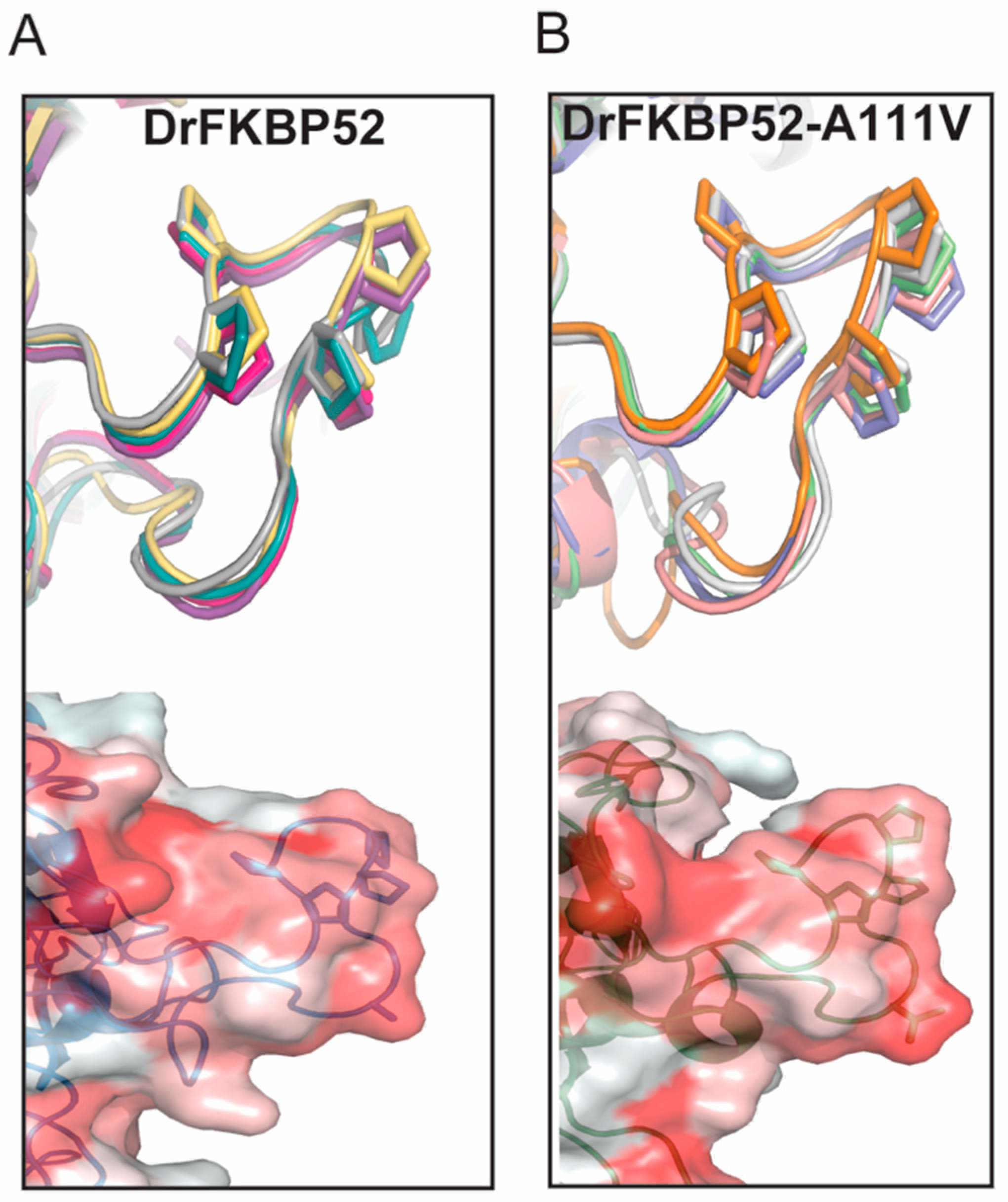 Ijms 20 05346 g005 Ijms 20 05346 g005