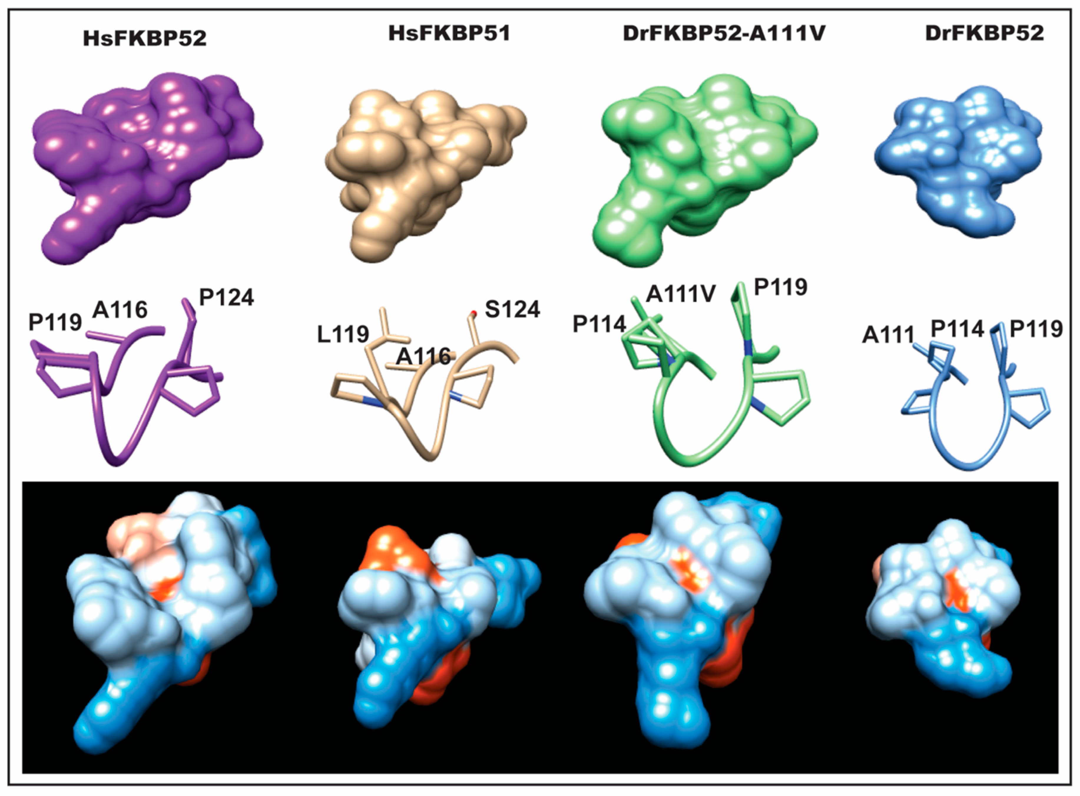 Ijms 20 05346 g006 Ijms 20 05346 g006