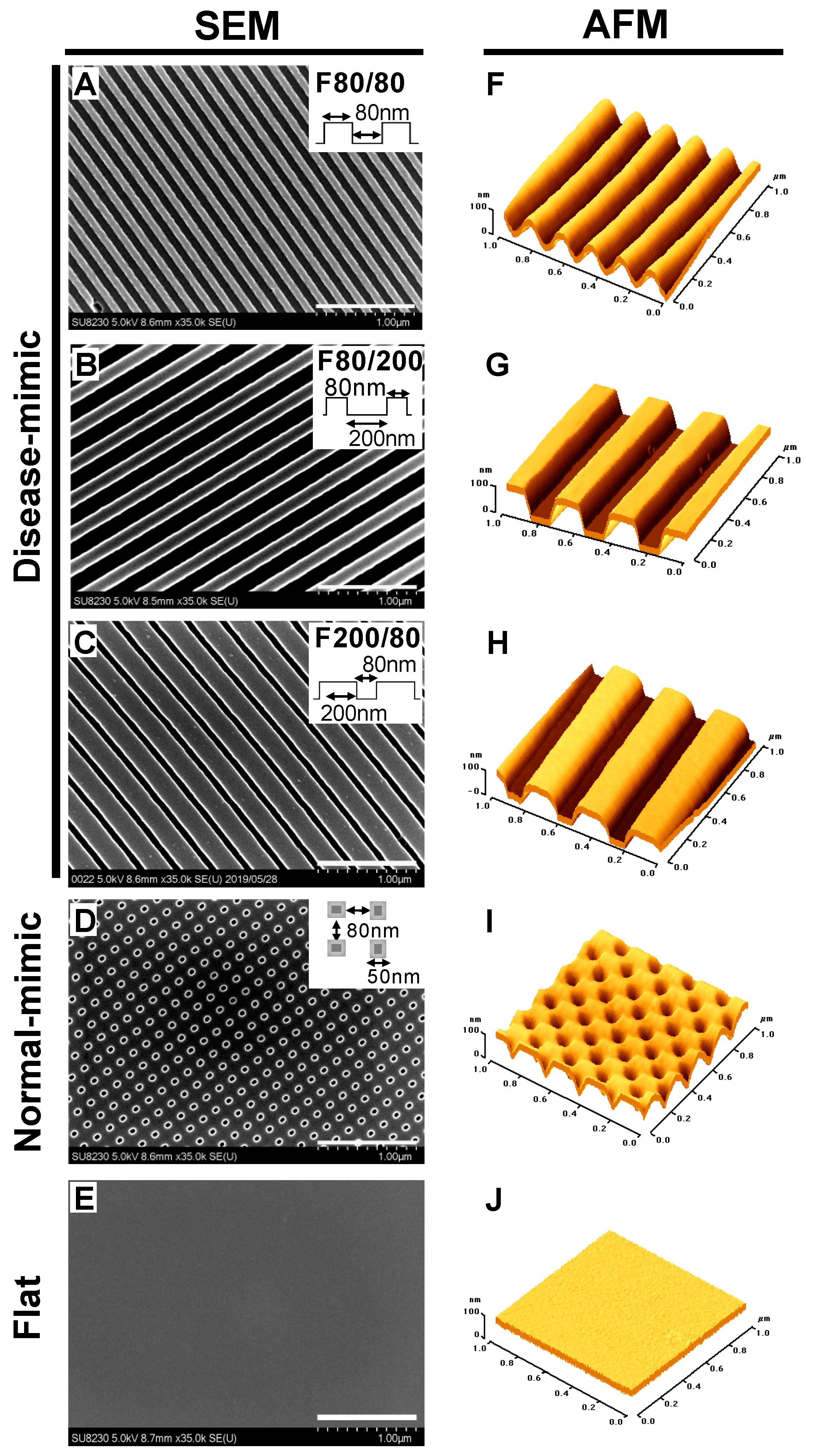 Ijms 20 05349 g001 Ijms 20 05349 g001